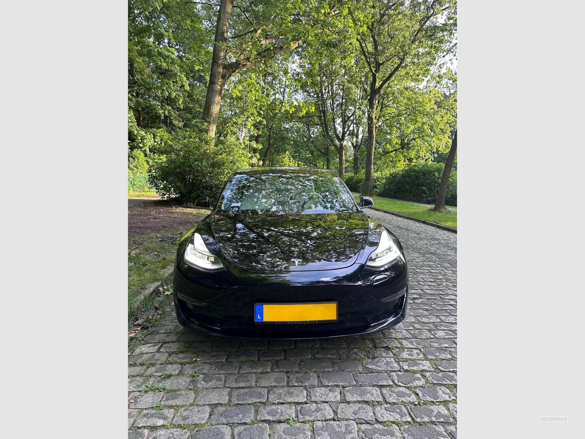 Tesla Model 3 Performance / Dual Motor / FSD (2019) - Photo 3