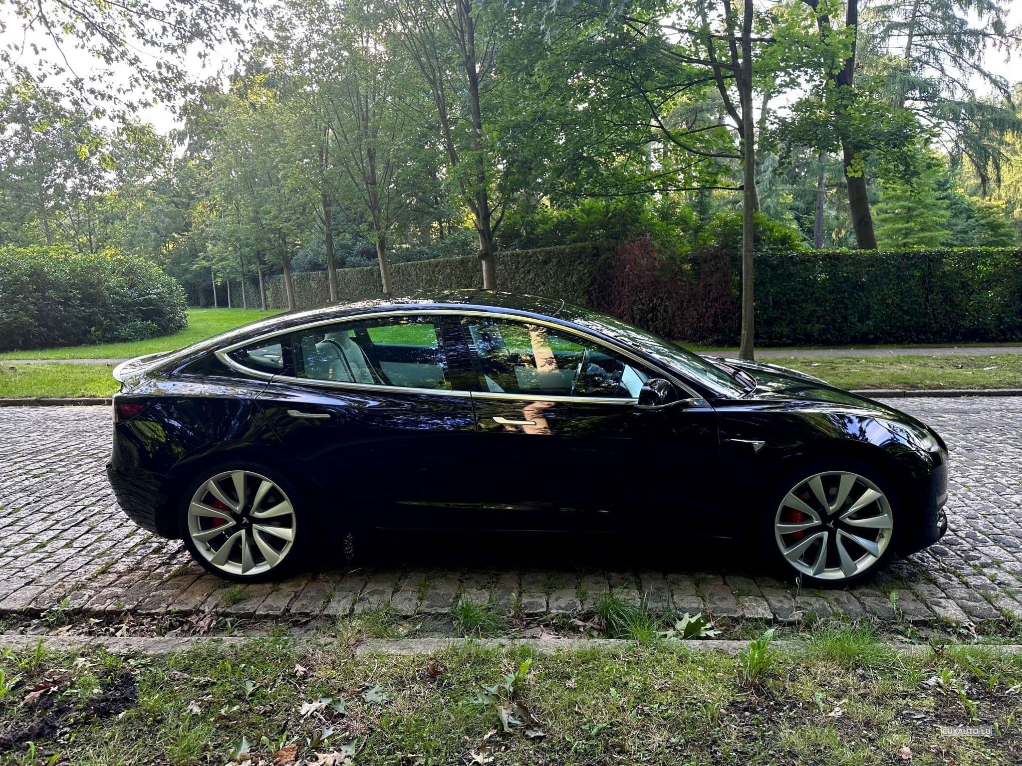 Tesla Model 3 Performance / Dual Motor / FSD (2019) - Photo 6