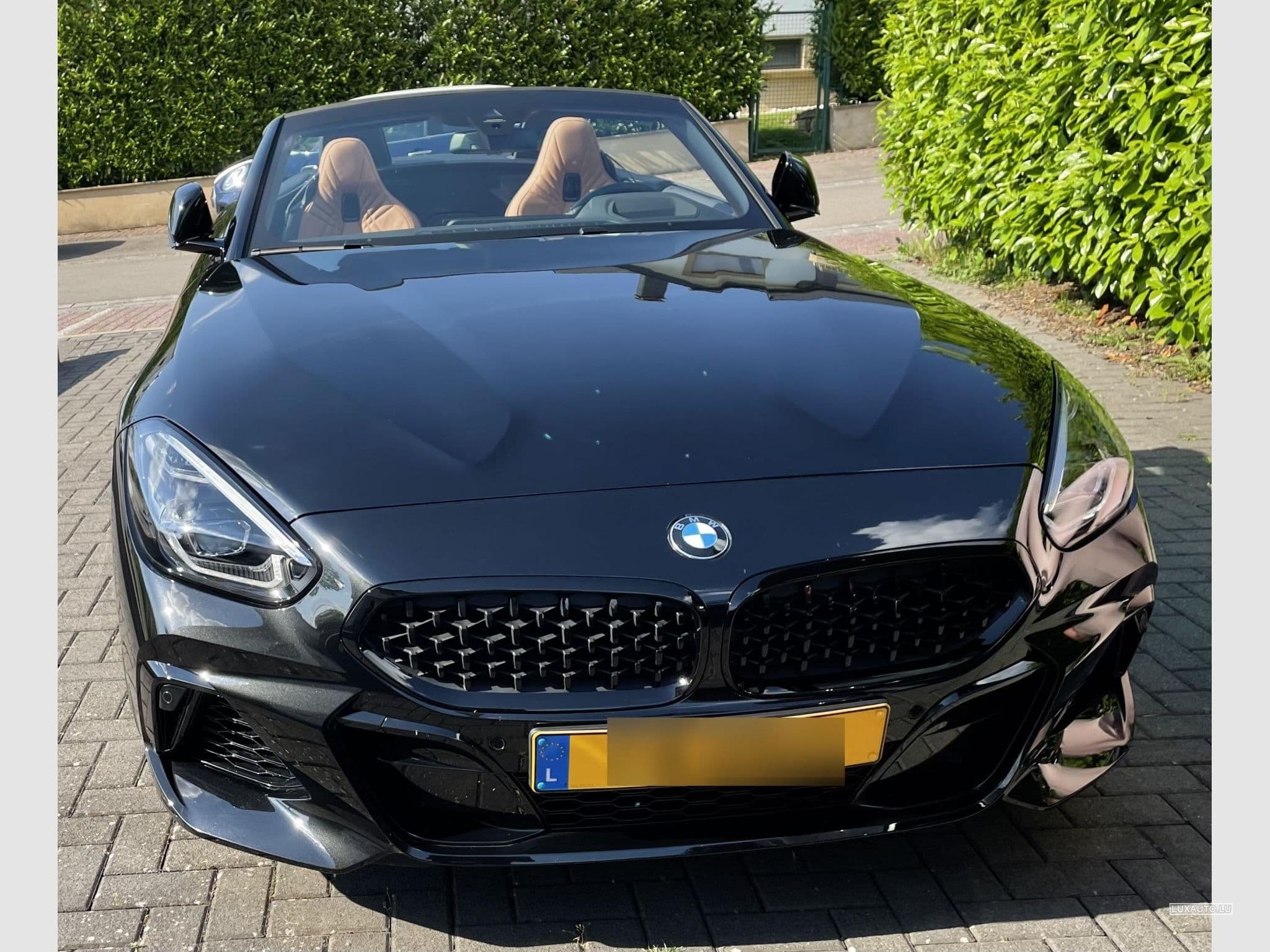 BMW Z4M Z4 M4.0i (2021) - Photo 3