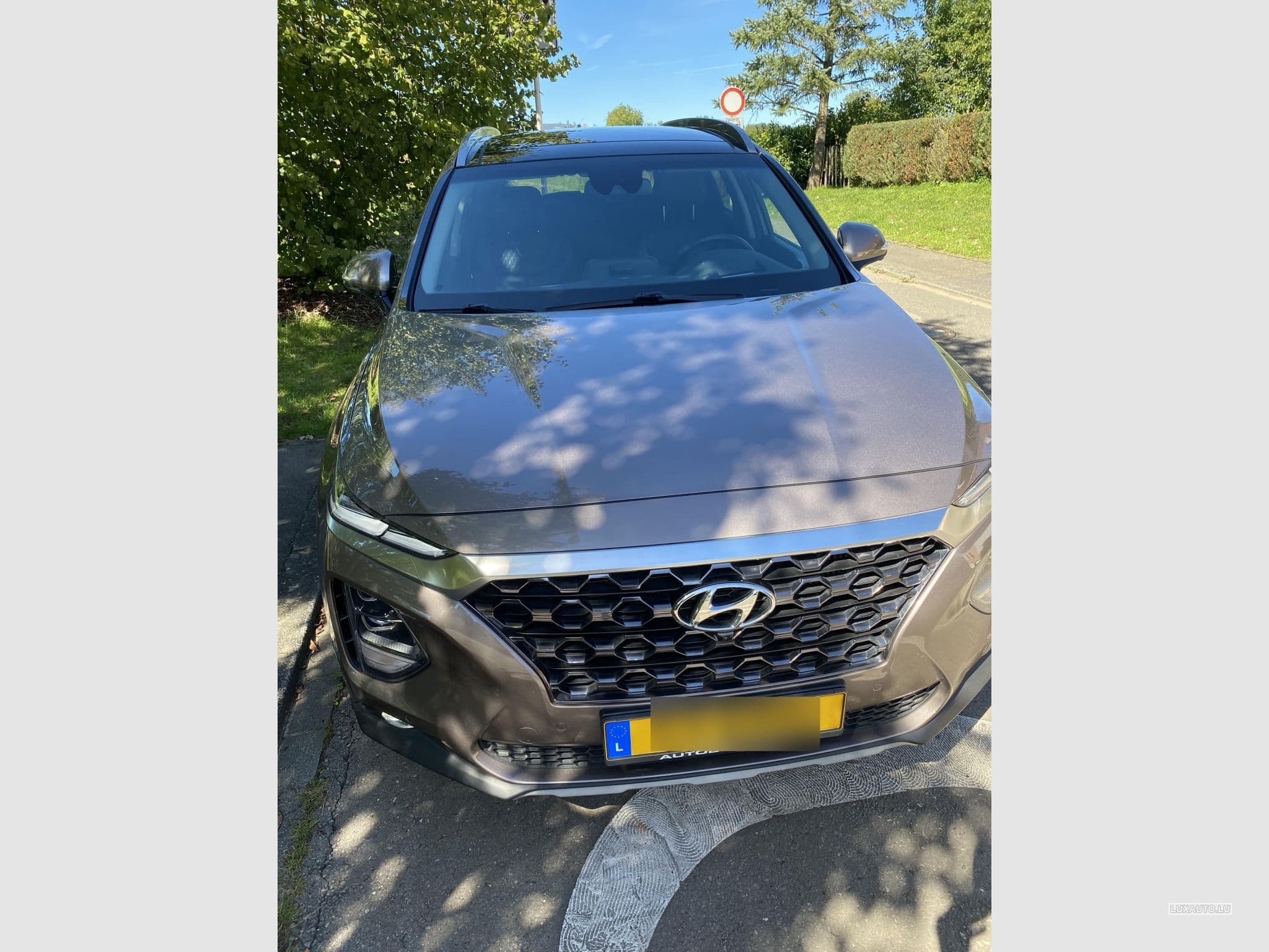 Hyundai Santa Fe 2.2 CRDI Executive (2020) - Photo 2