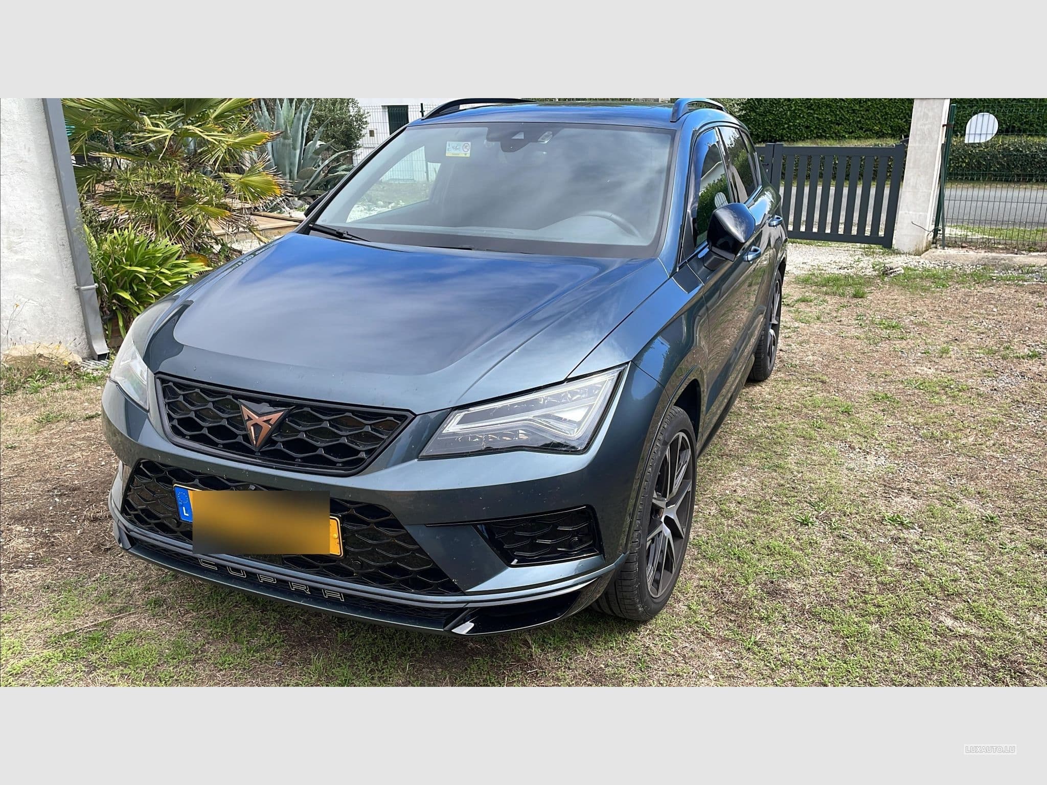 Cupra Ateca (2020) - Photo 1
