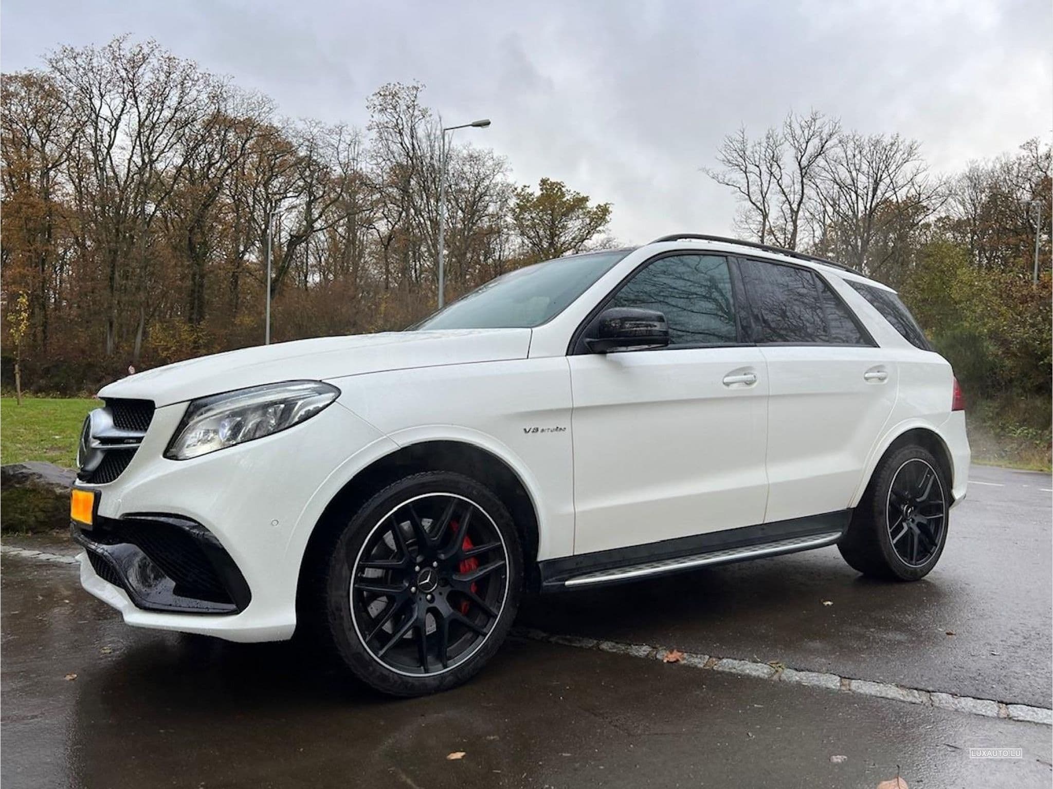 Mercedes GLE 63 AMG (2018) - Photo 3