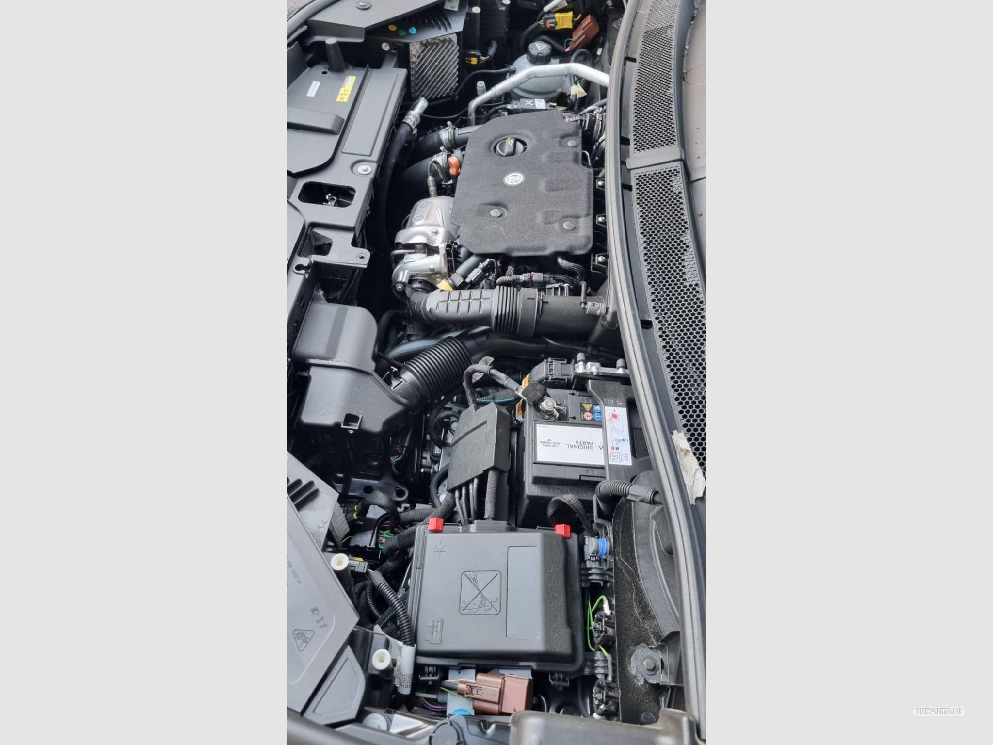 Citroën DS NOUVELLE DS7 BLUEHDI 130 AUTOMATIQUE PERFOLINE+ (2023) - Photo 1