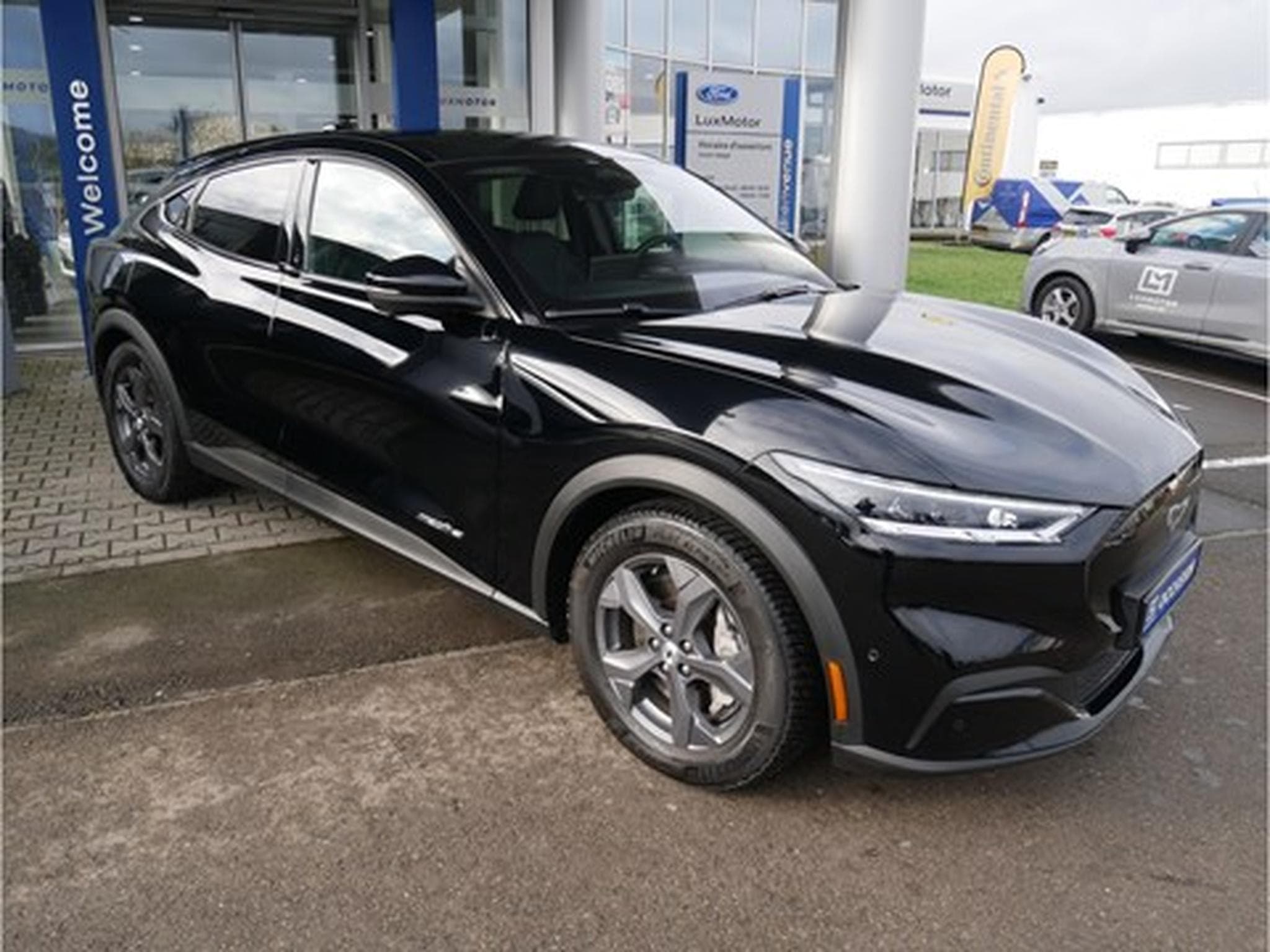 Ford Mustang Mach-E RWD 76kWh Standard Range 258ch/190kW - A1 (2021) - Photo 1
