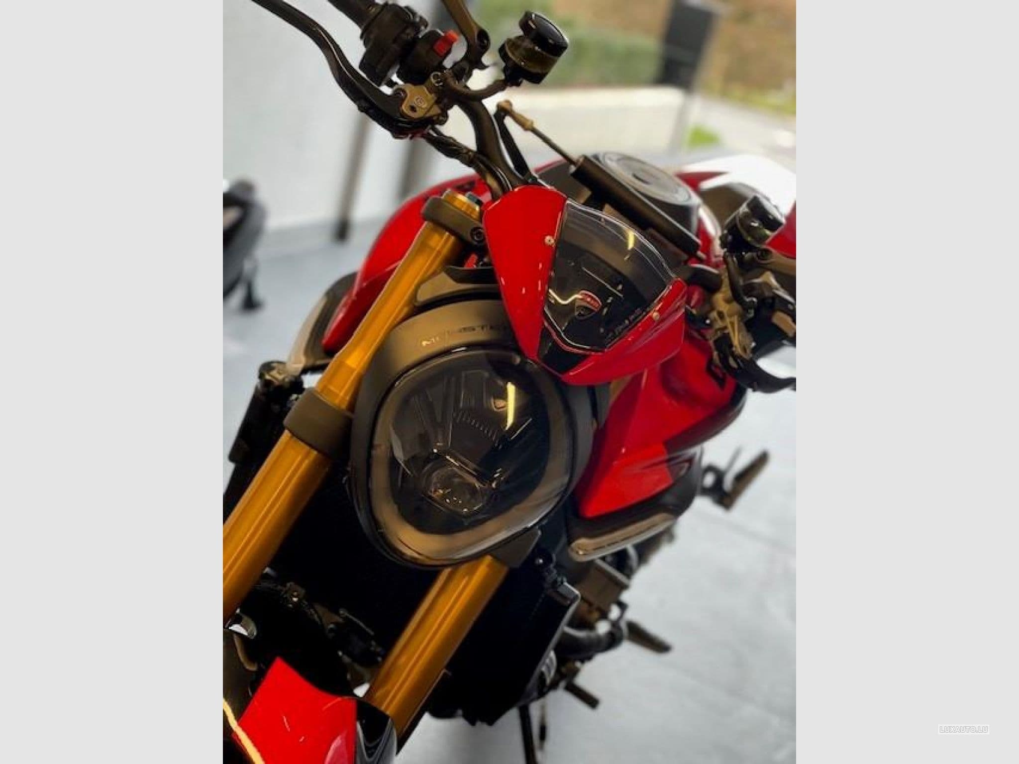 Ducati SP (2023) - Photo 4