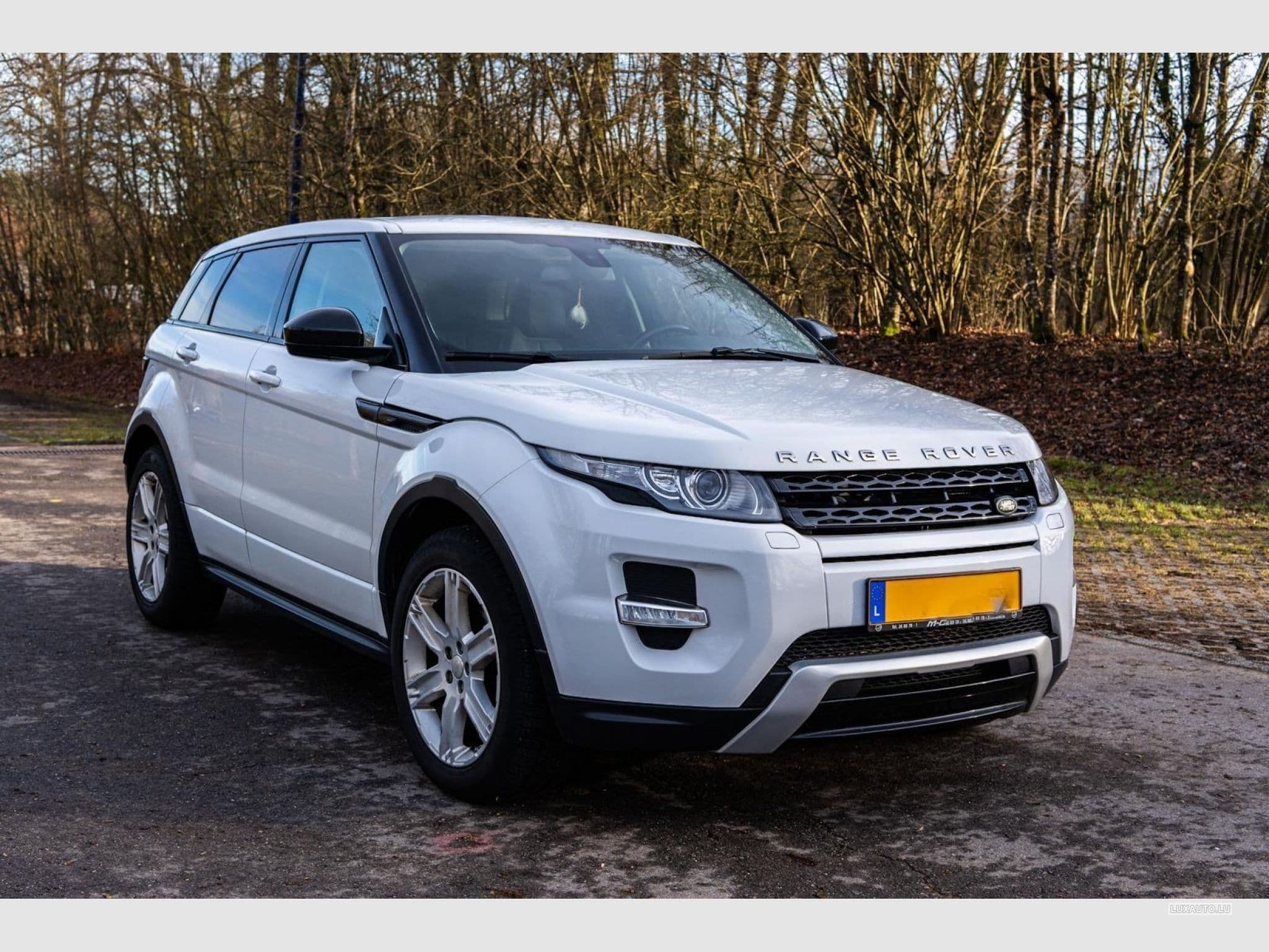 Land-Rover Range Rover Evoque (2015) - Photo 2