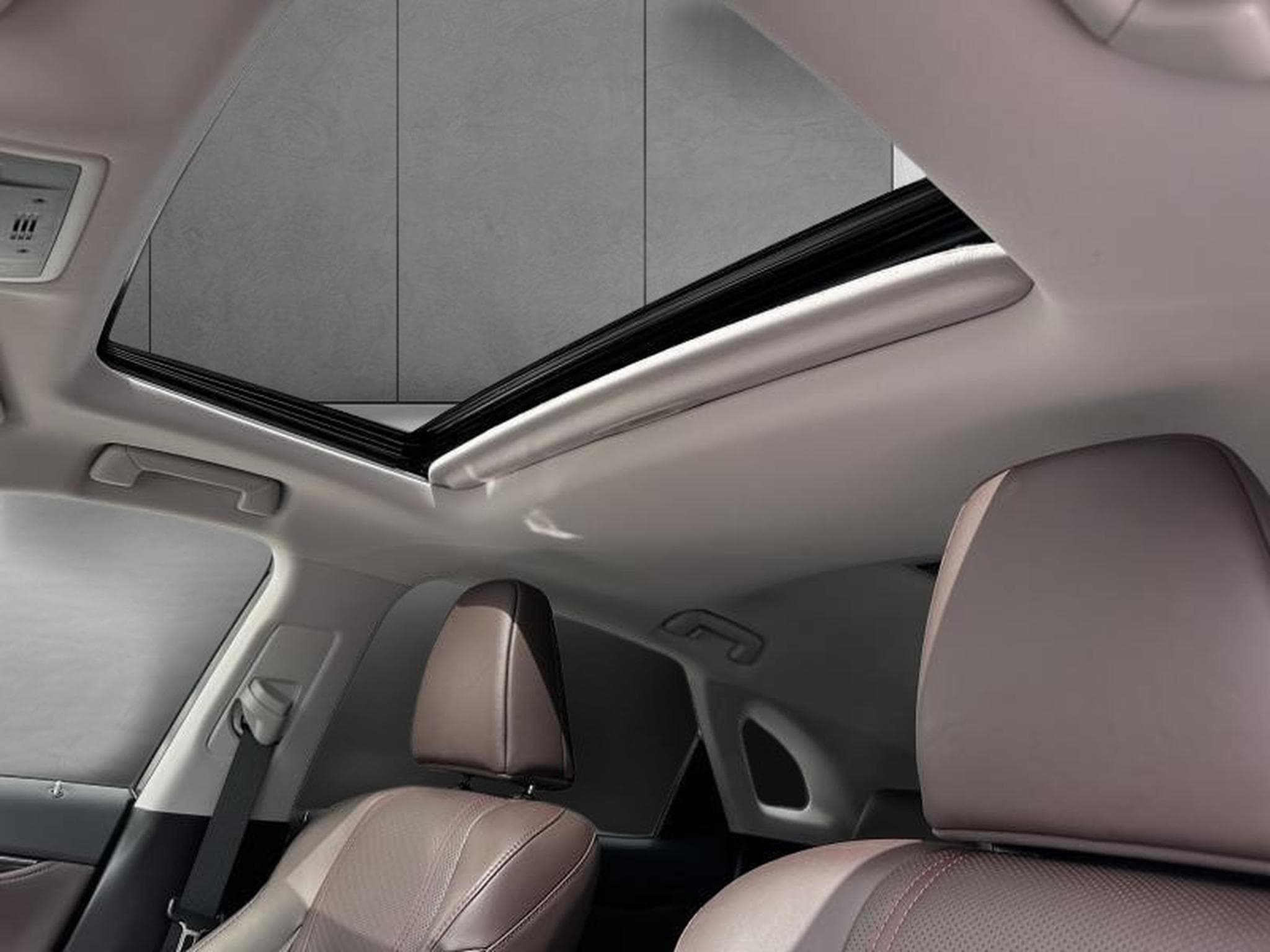 Lexus RX Executive Line (2022) - Photo 18
