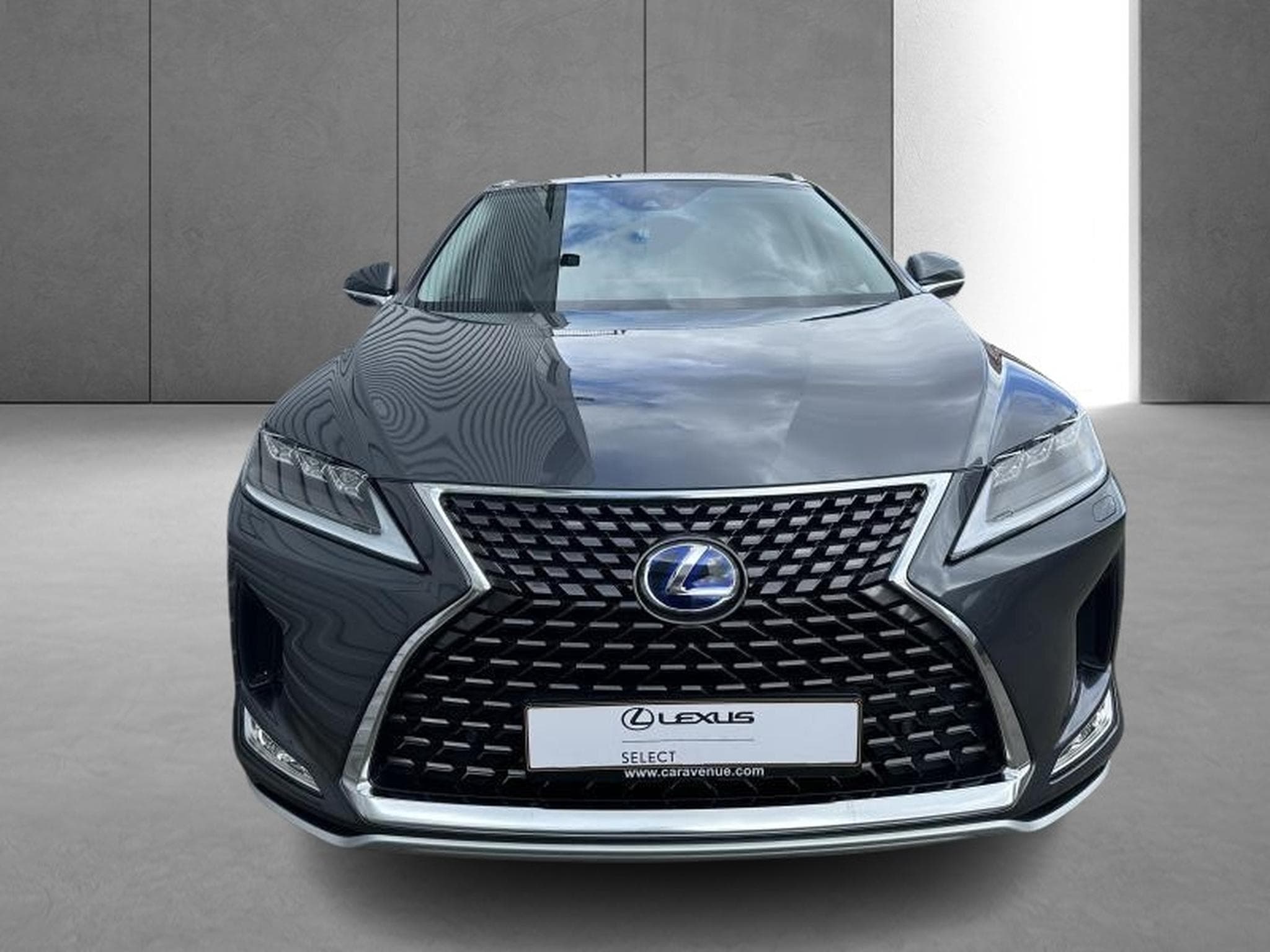 Lexus RX Executive Line (2022) - Photo 6