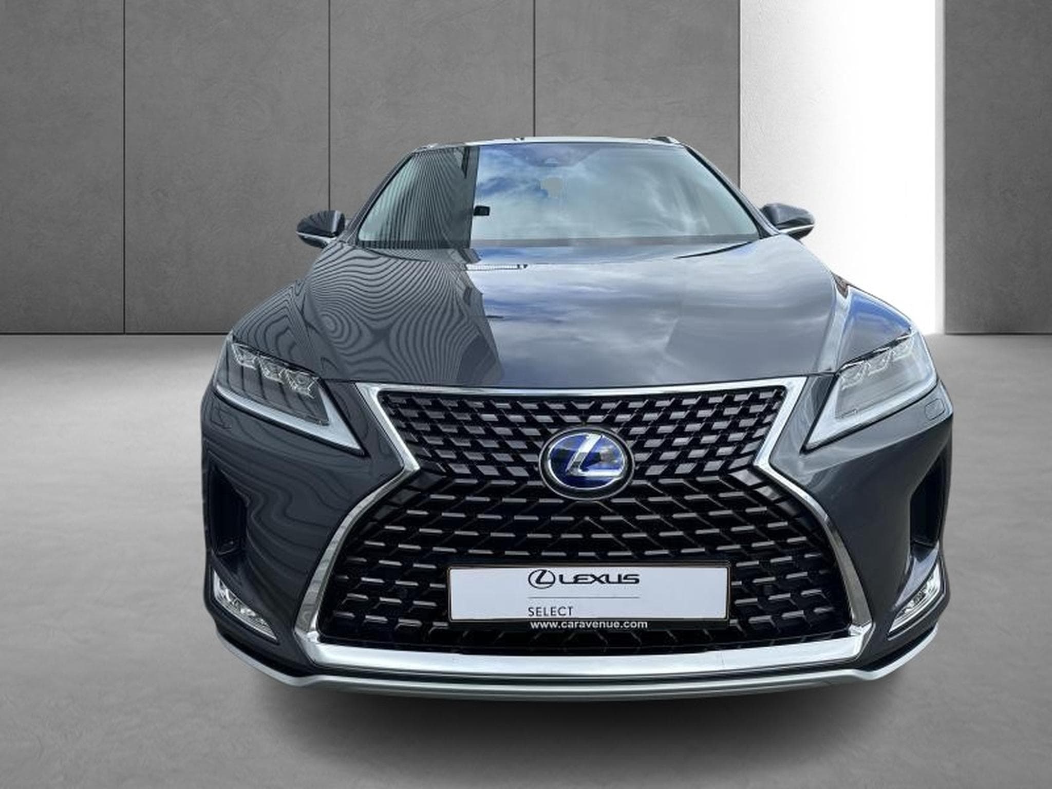 Lexus RX Executive Line (2022) - Photo 7