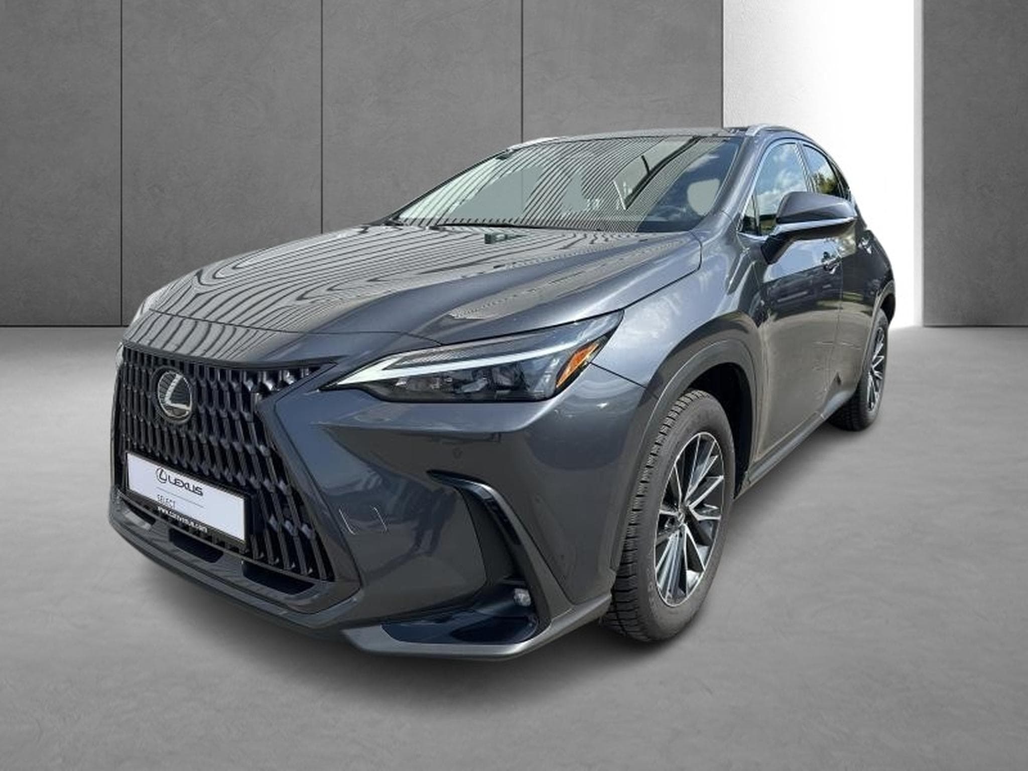 Lexus NX Business Line (2023) - Photo 10