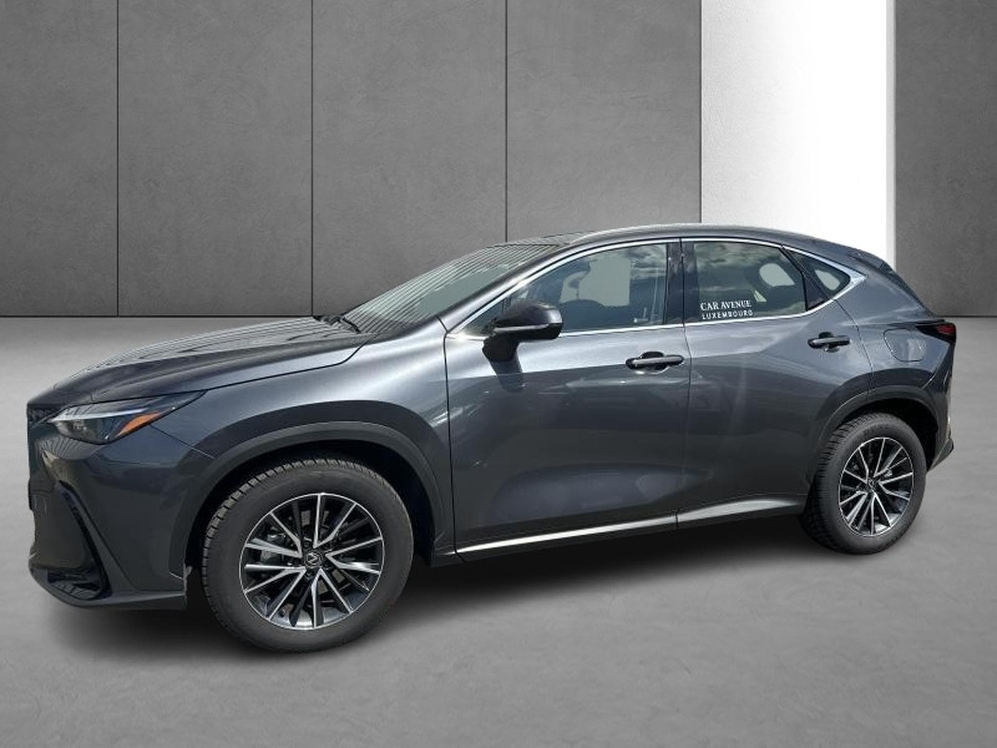 Lexus NX Business Line (2023) - Photo 2