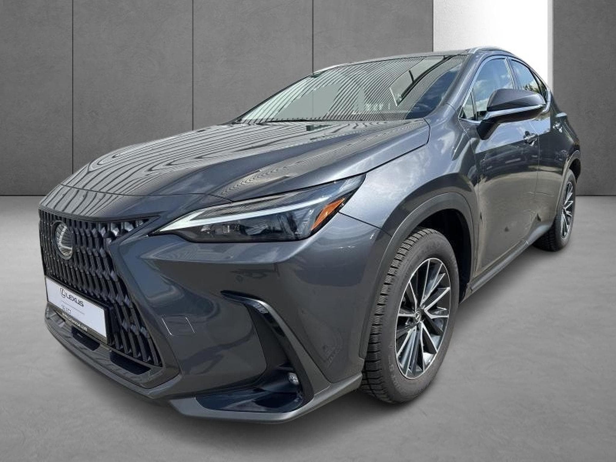 Lexus NX Business Line (2023) - Photo 4