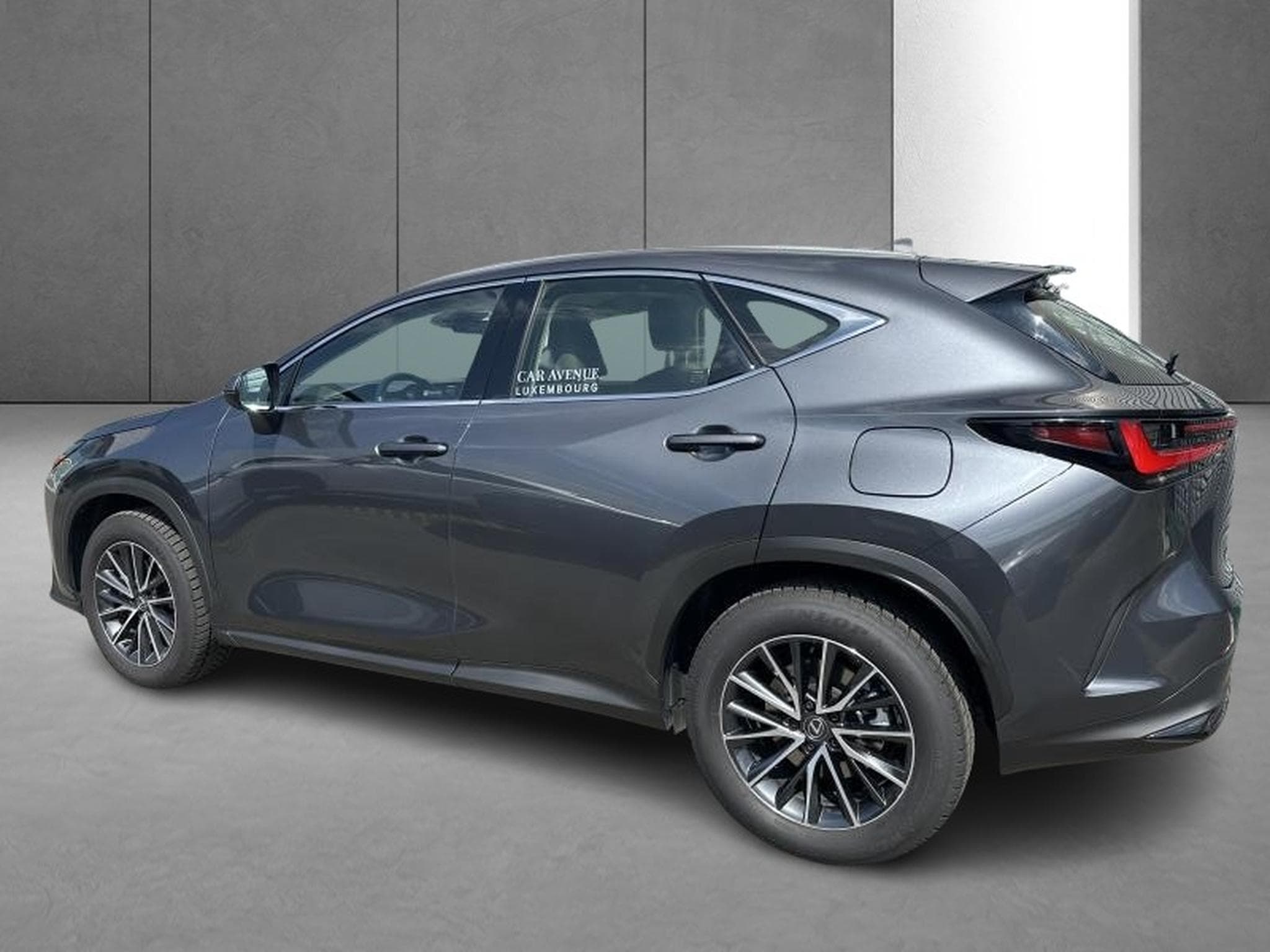 Lexus NX Business Line (2023) - Photo 7