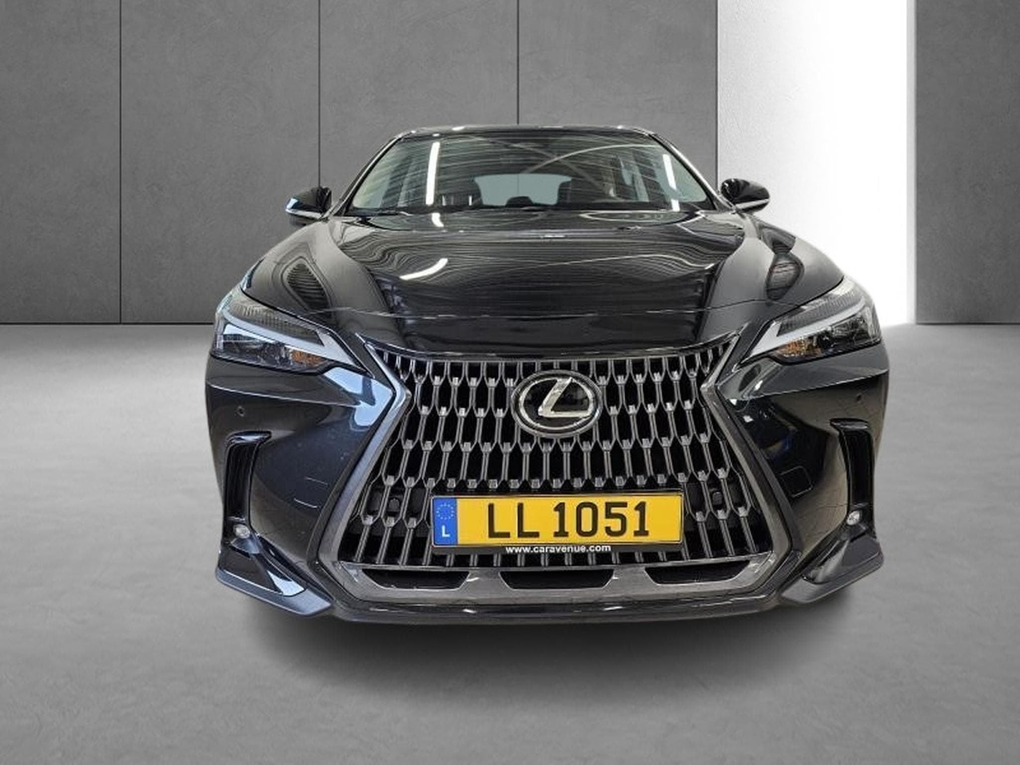 Lexus NX Business Line Awd (2023) - Photo 2