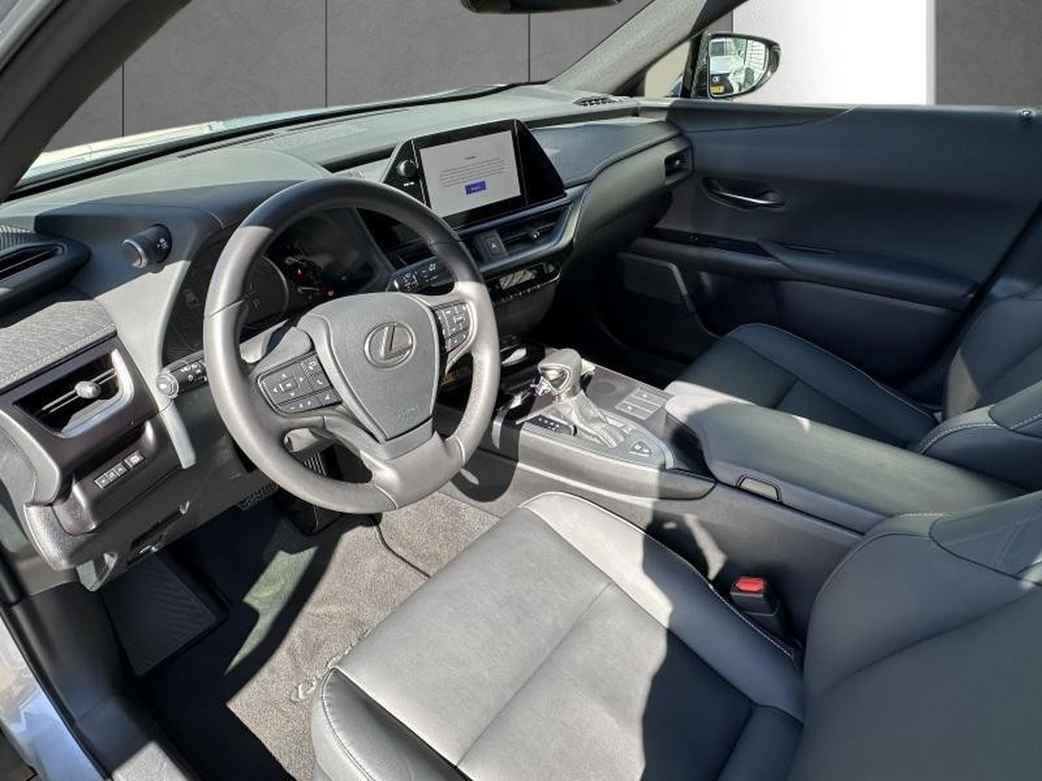 Lexus UX F SPORT Design (2023) - Photo 11