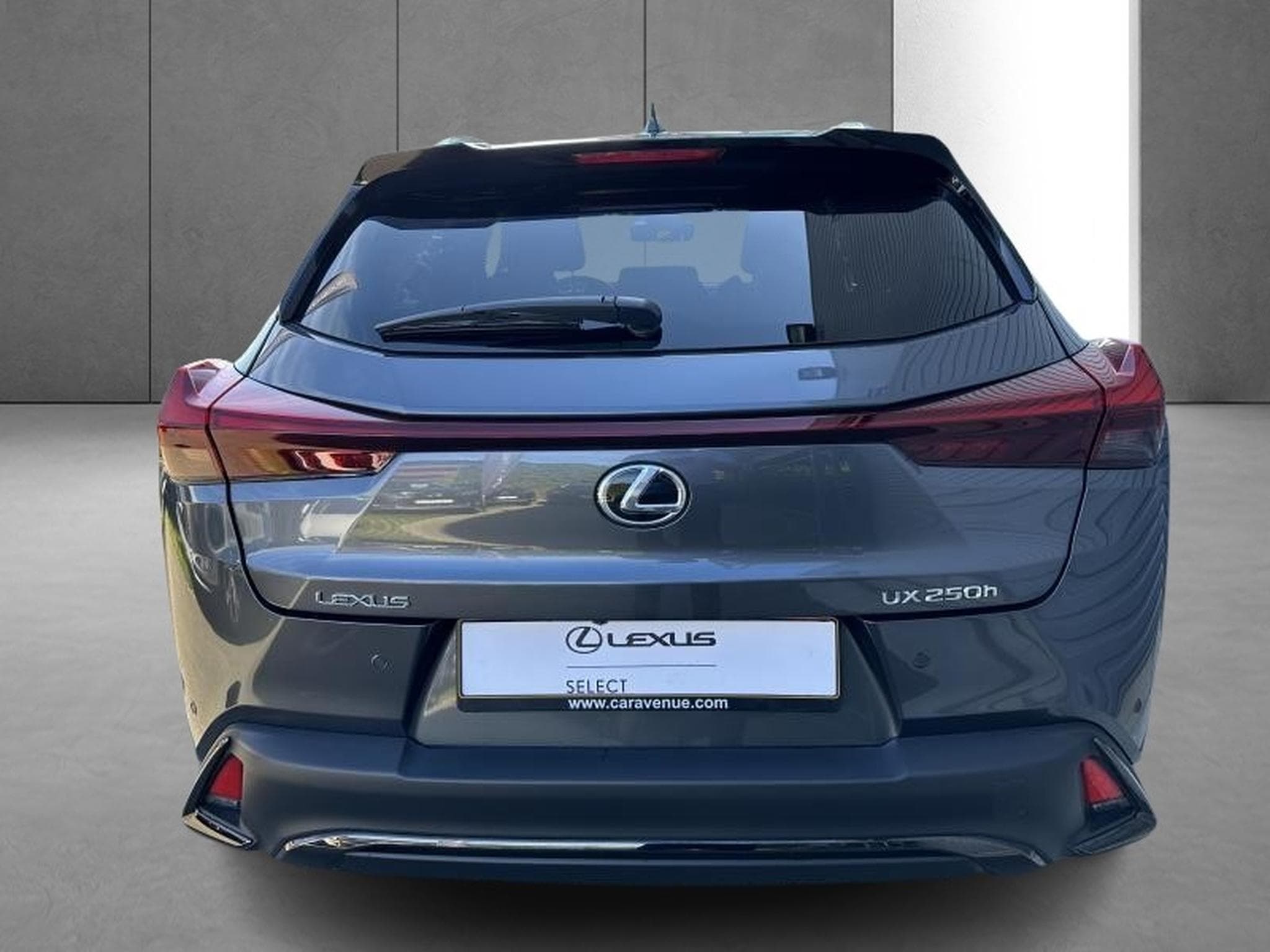 Lexus UX F SPORT Design (2023) - Photo 24