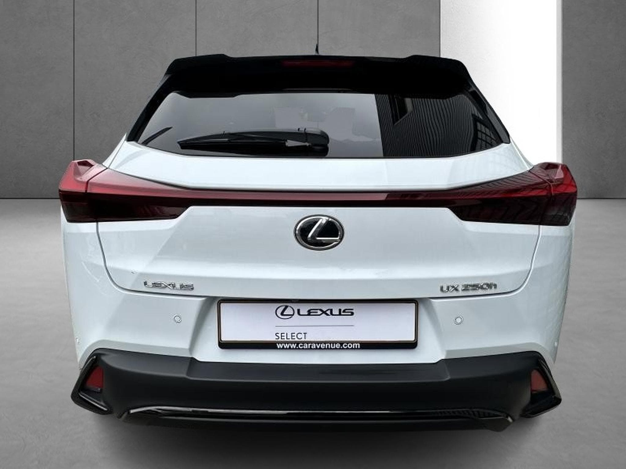 Lexus UX F SPORT Design (2023) - Photo 7