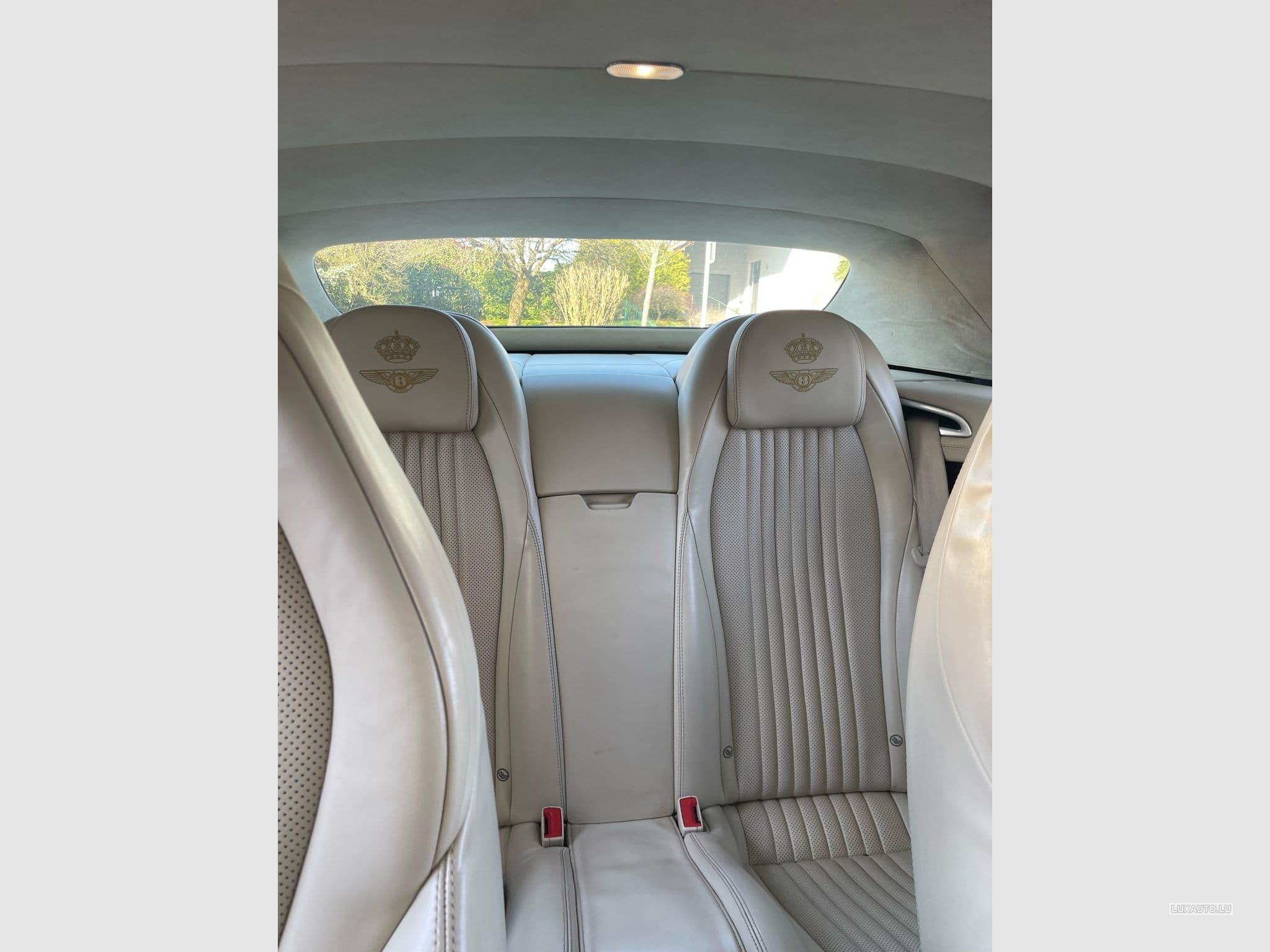 Bentley Continental GTC (2016) - Photo 7