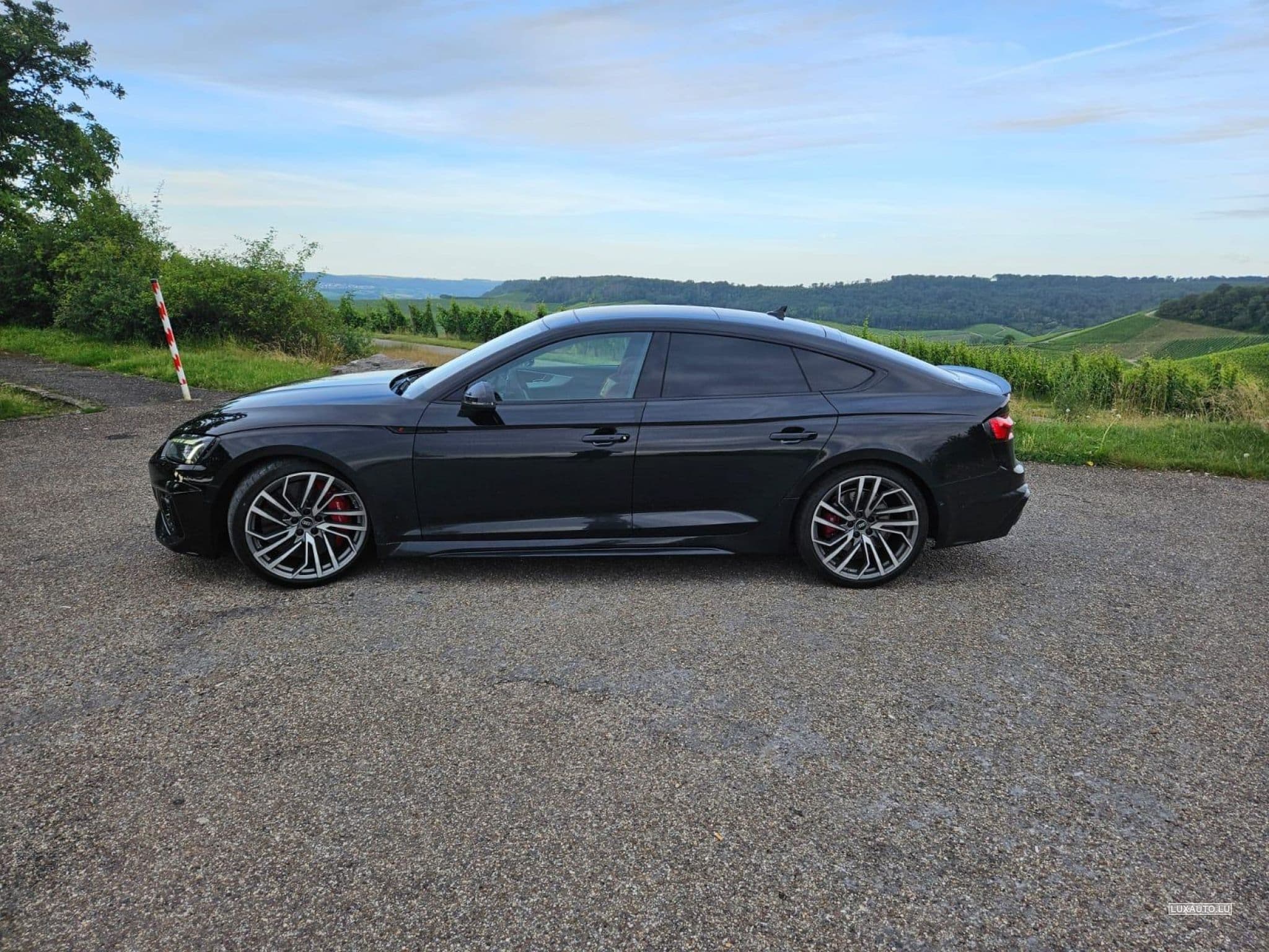 Audi RS5 (2023) - Photo 1
