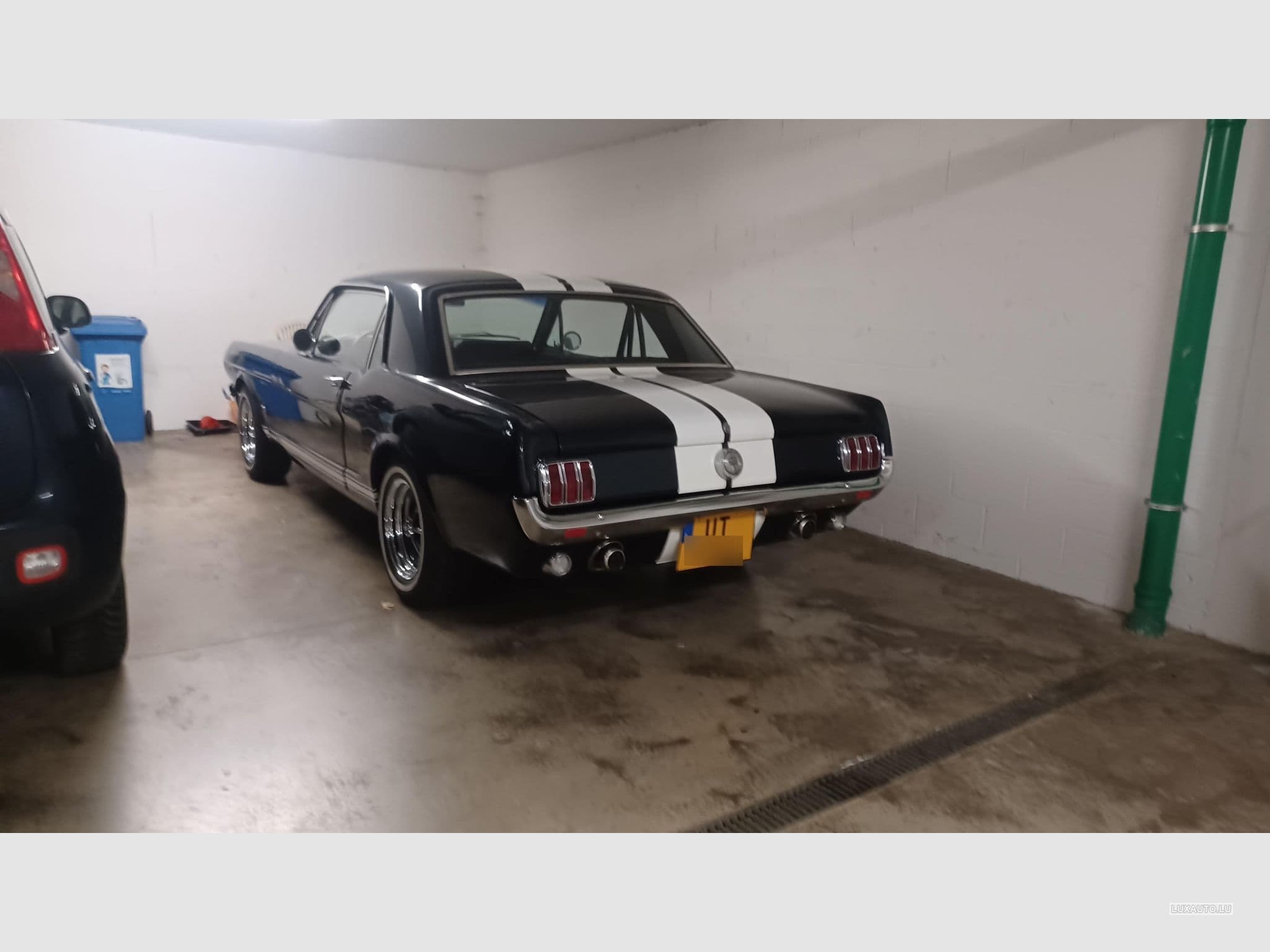Ford Mustang 289 GT (1967) - Photo 2