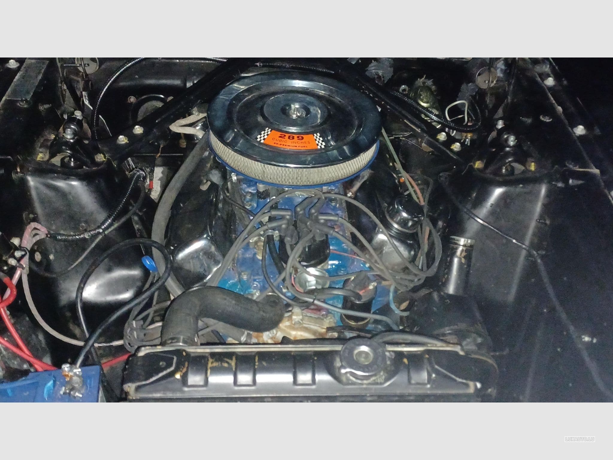 Ford Mustang 289 GT (1967) - Photo 4