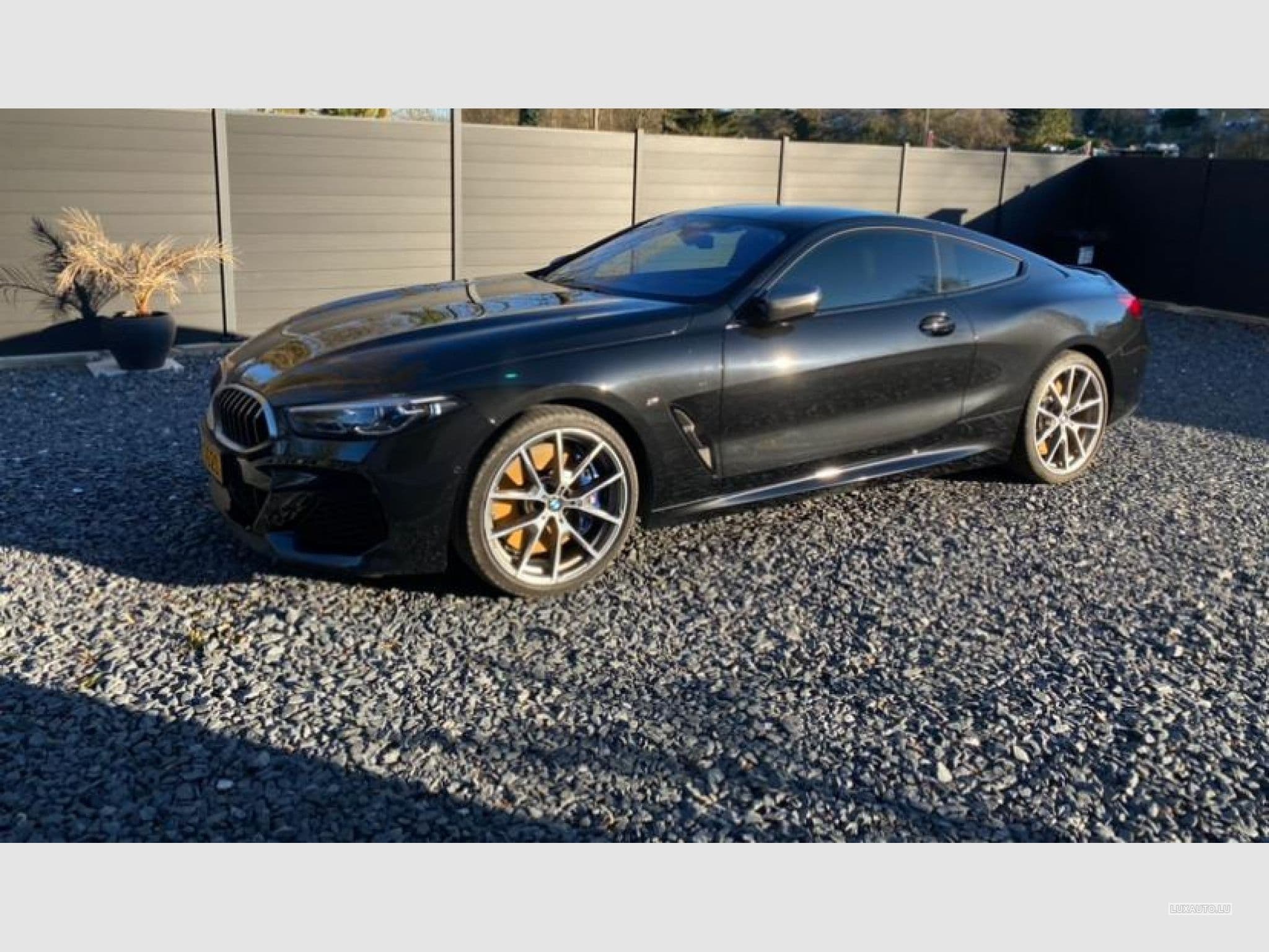 BMW M850 (2019) - Photo 1
