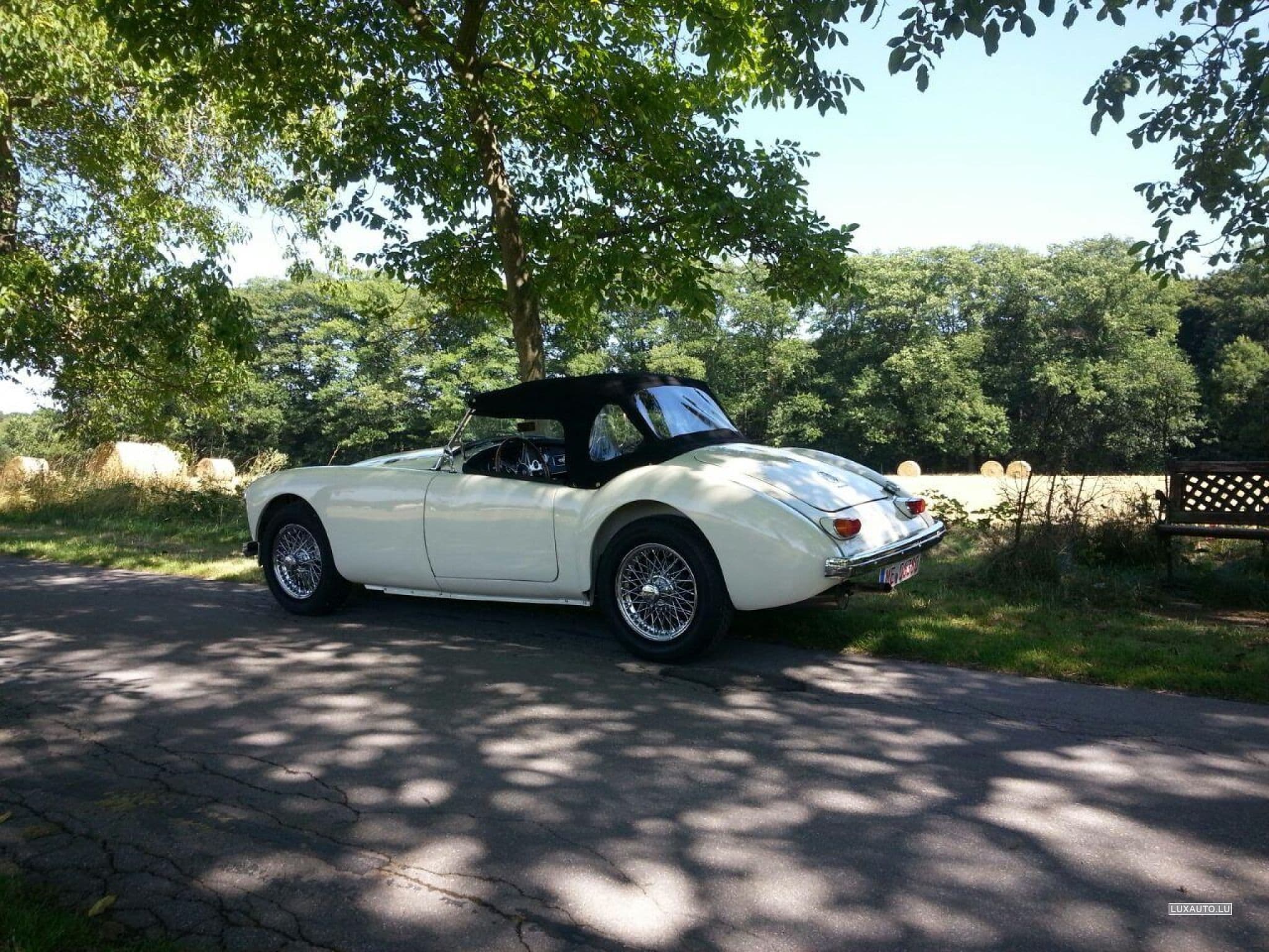 MG A MGA MK II (1962) - Photo 1
