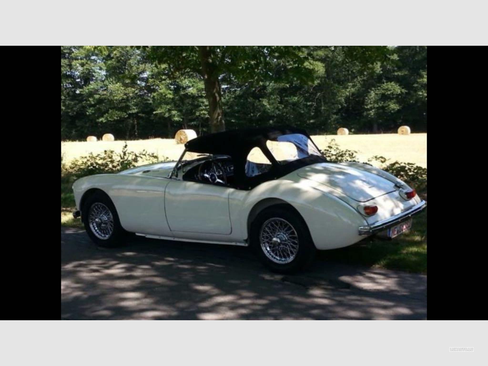 MG A MGA MK II (1962) - Photo 10