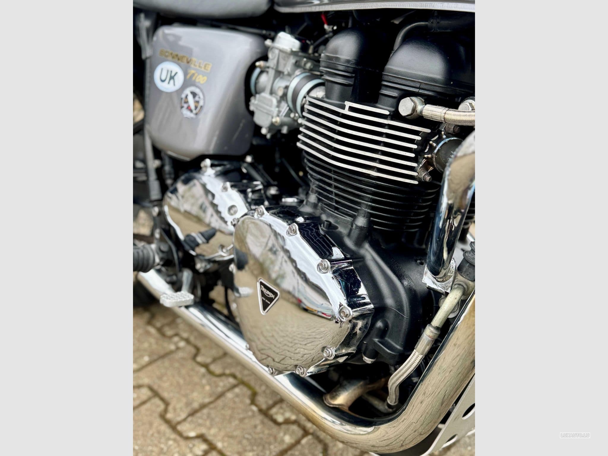 Triumph Bonneville (2012) - Photo 5