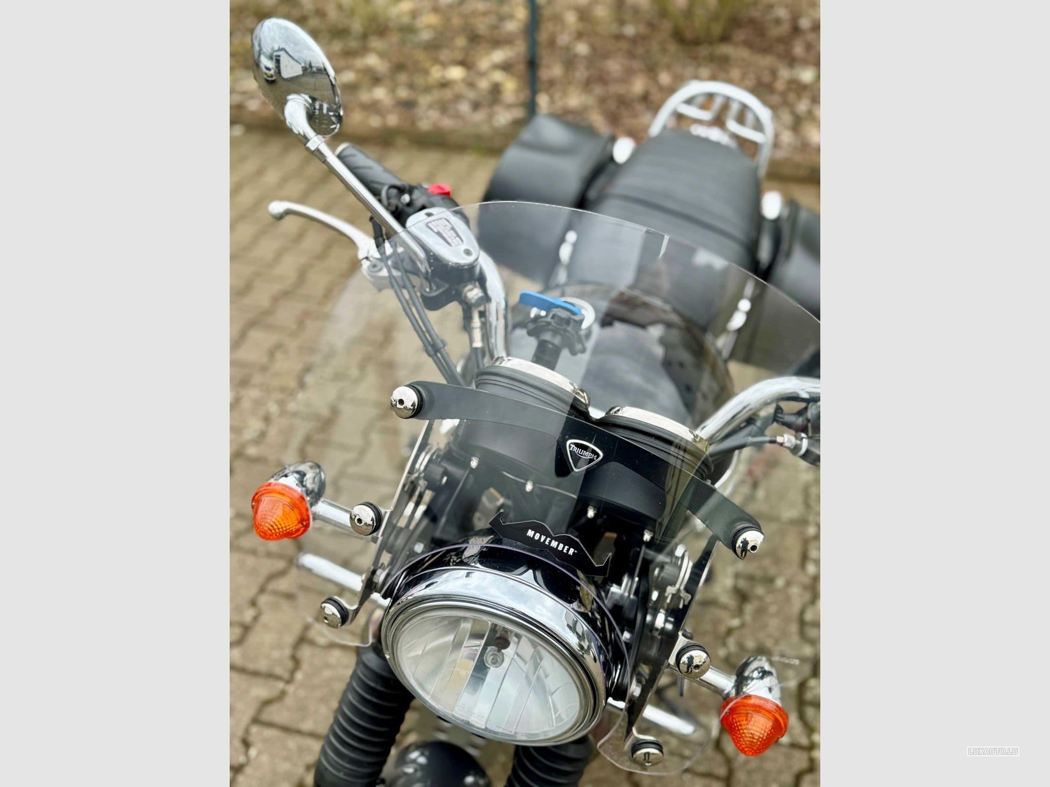Triumph Bonneville (2012) - Photo 7