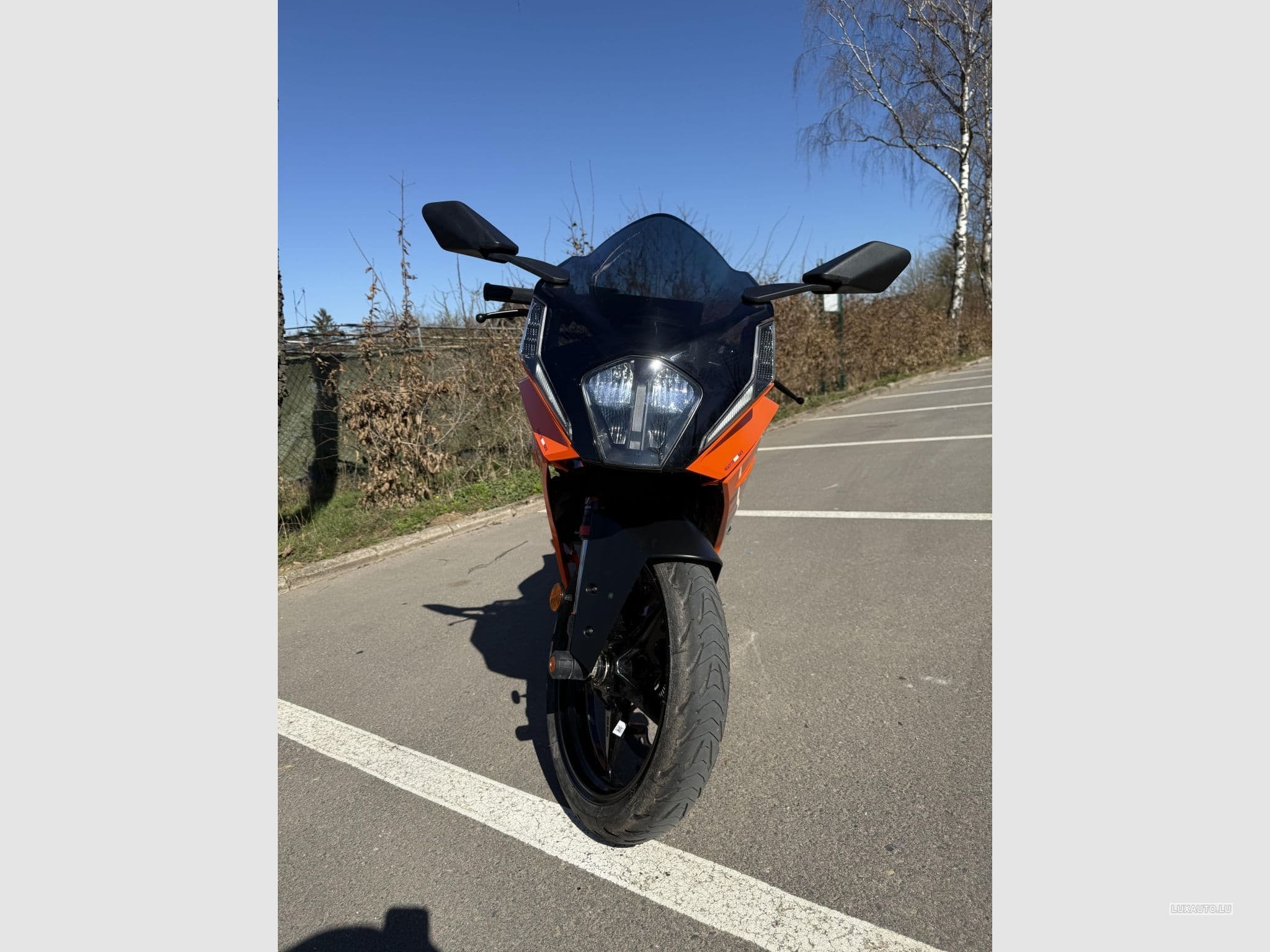 KTM RC (2024) - Photo 3