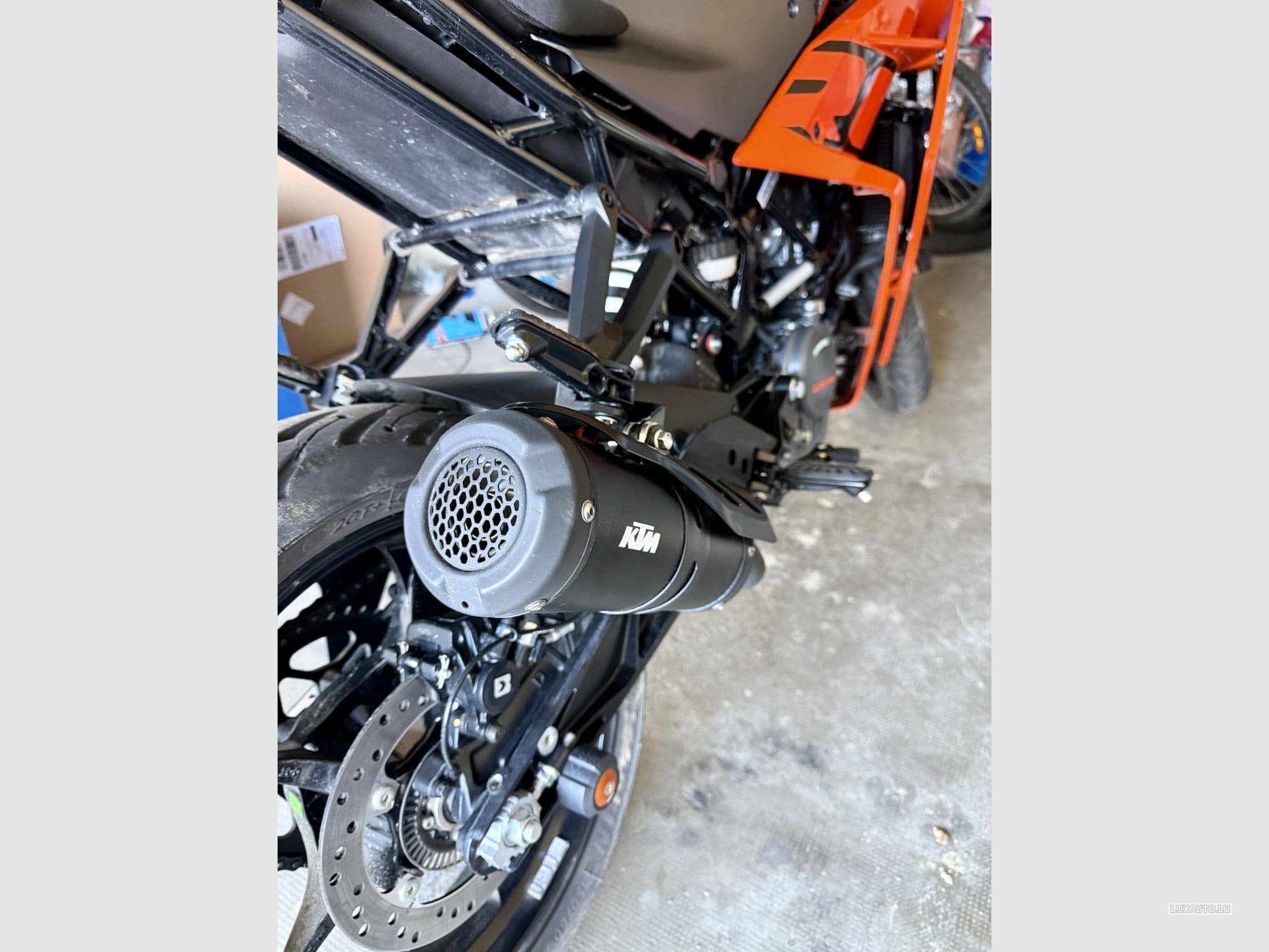 KTM RC (2024) - Photo 4