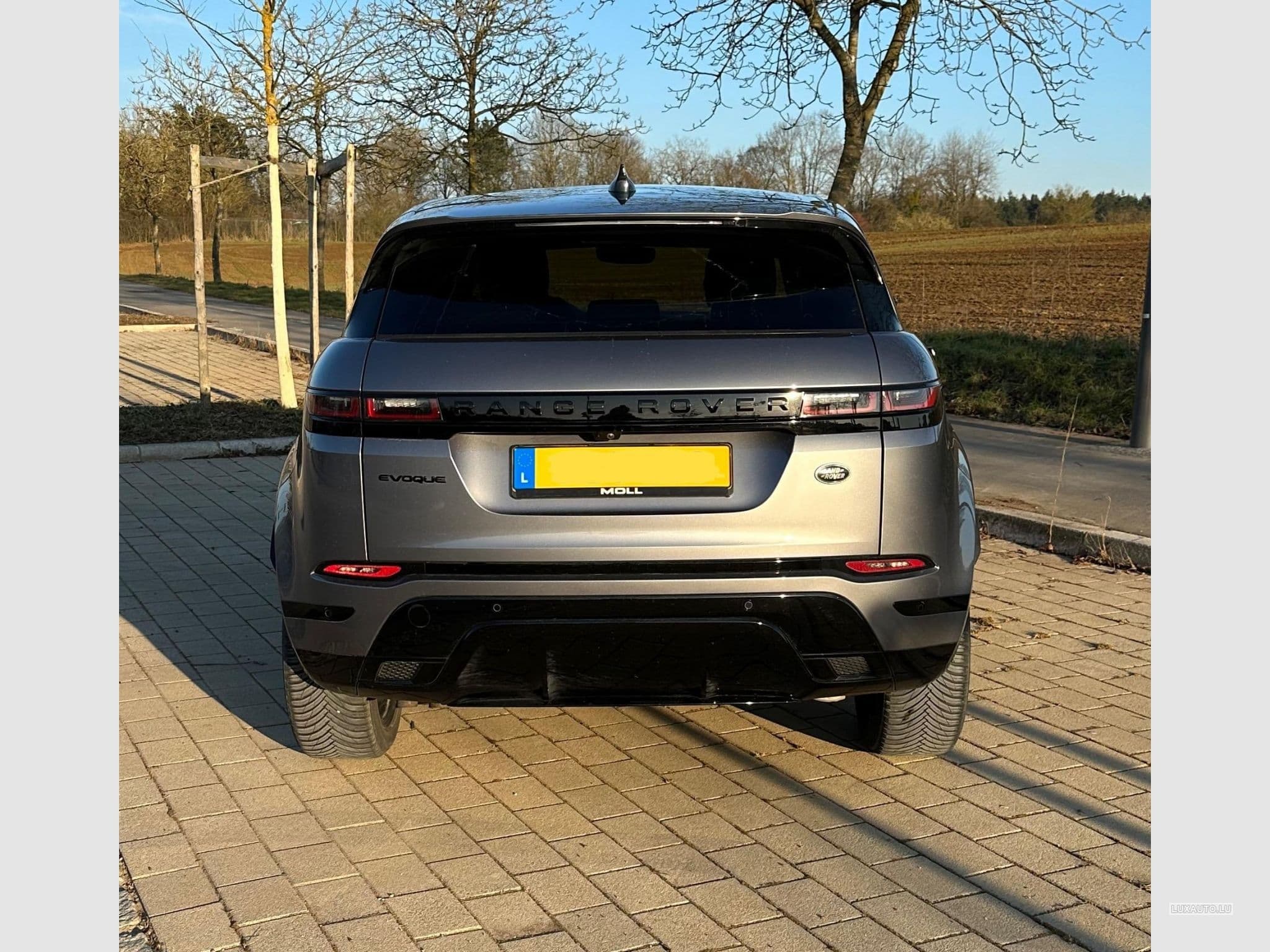 Land-Rover Range Rover Evoque (2022) - Photo 4