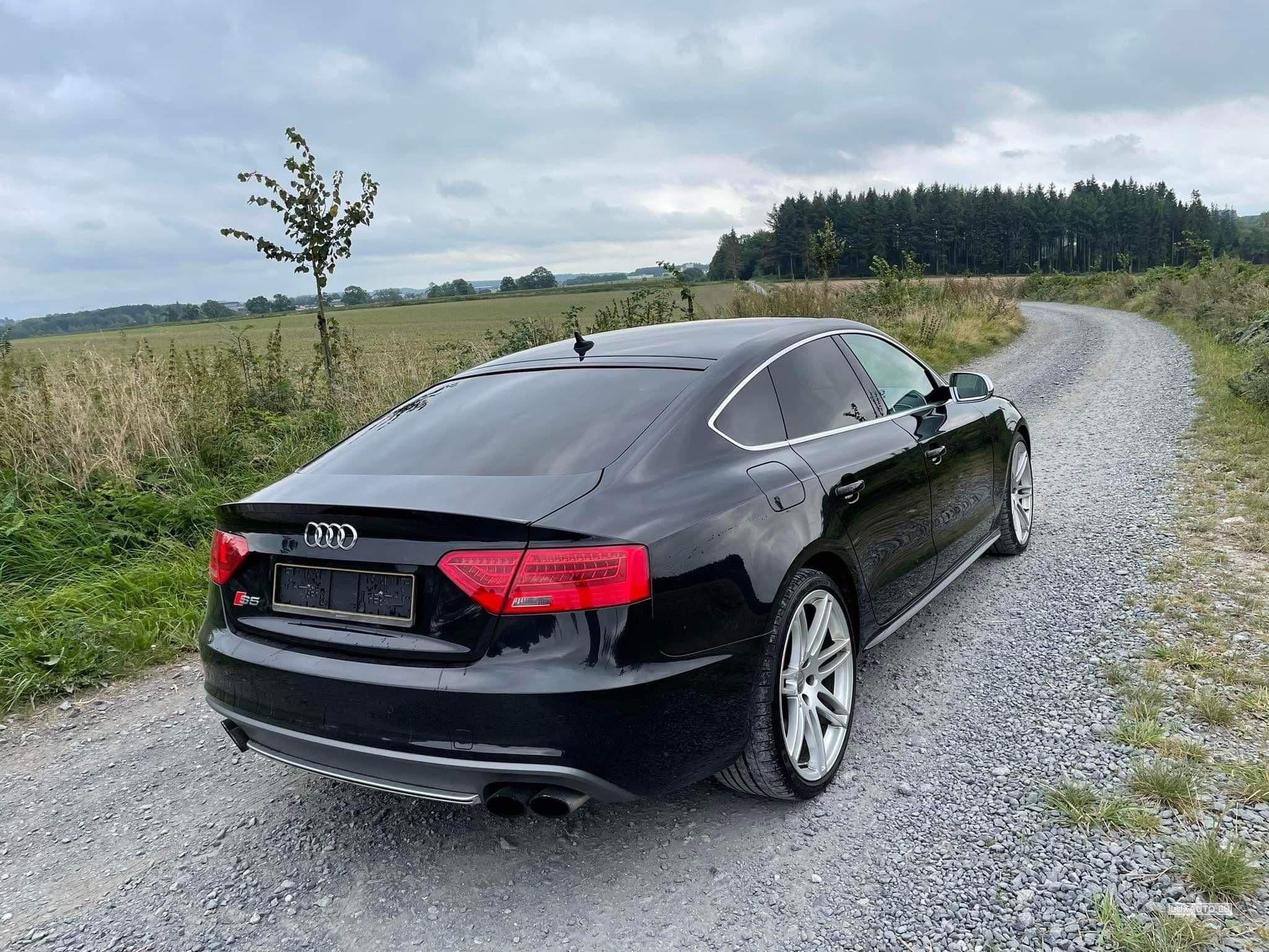 Audi S5 (2014) - Photo 2