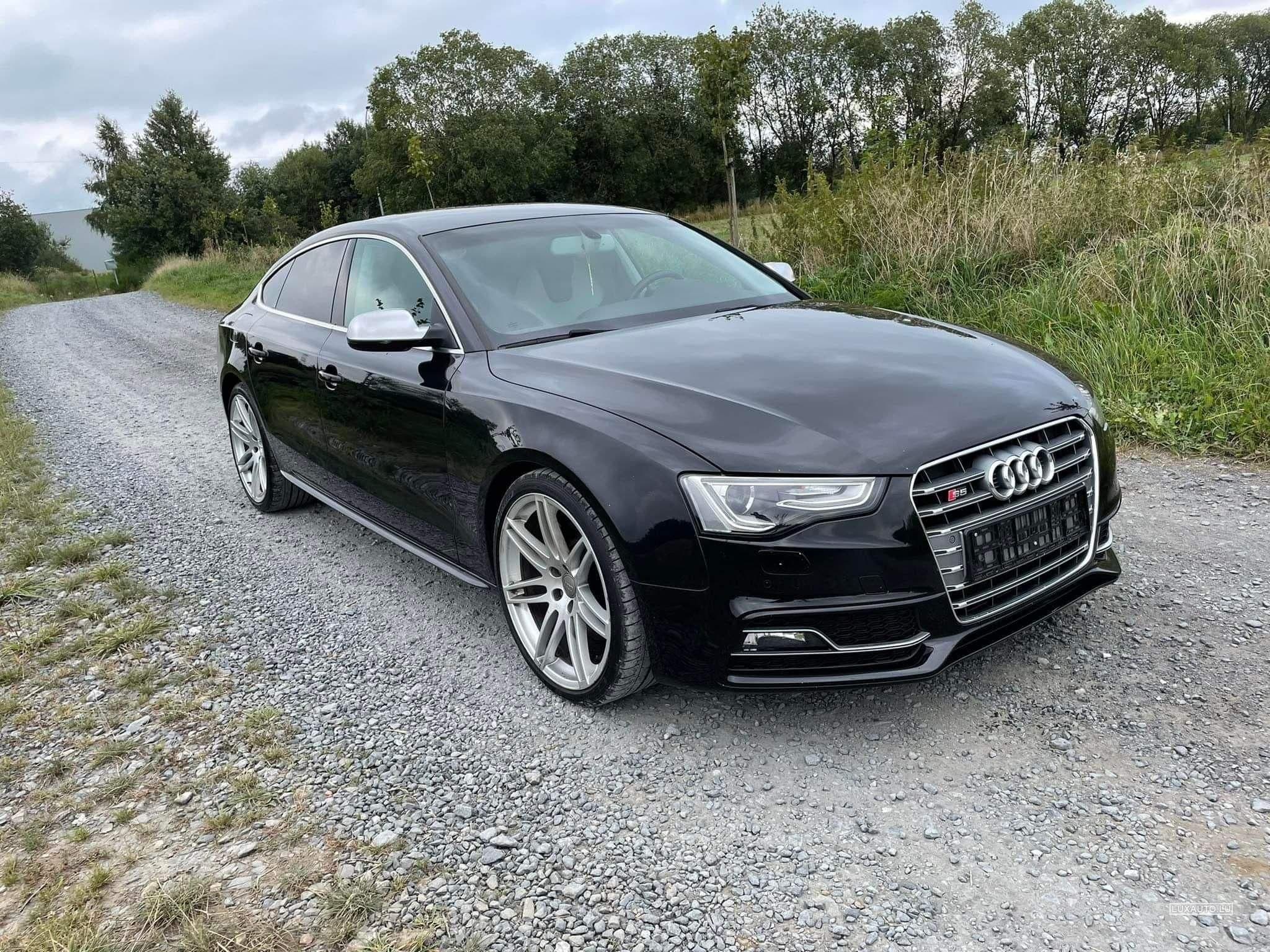 Audi S5 (2014) - Photo 6