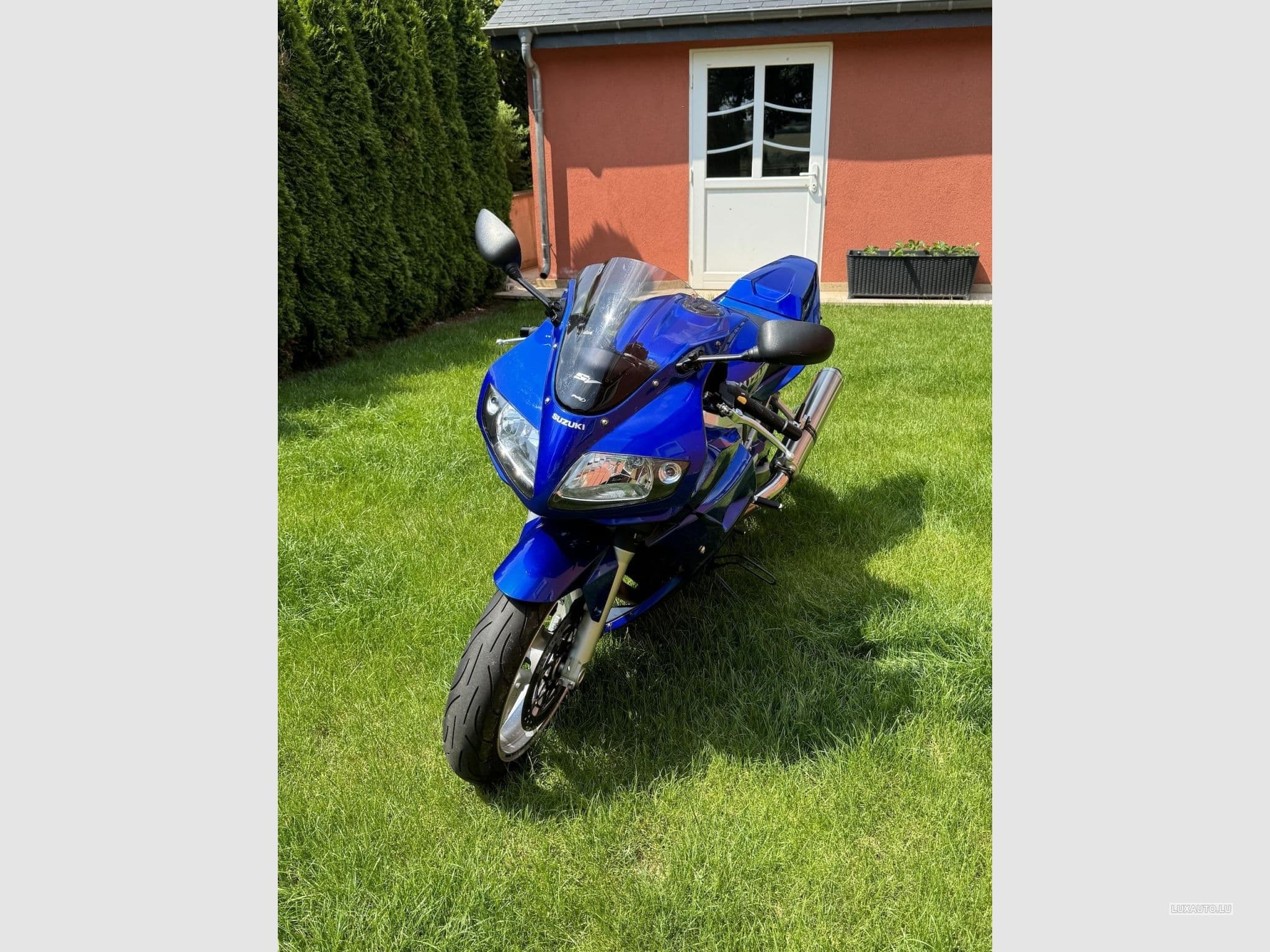 Suzuki SV Suzuki SV1000S (2003) - Photo 2