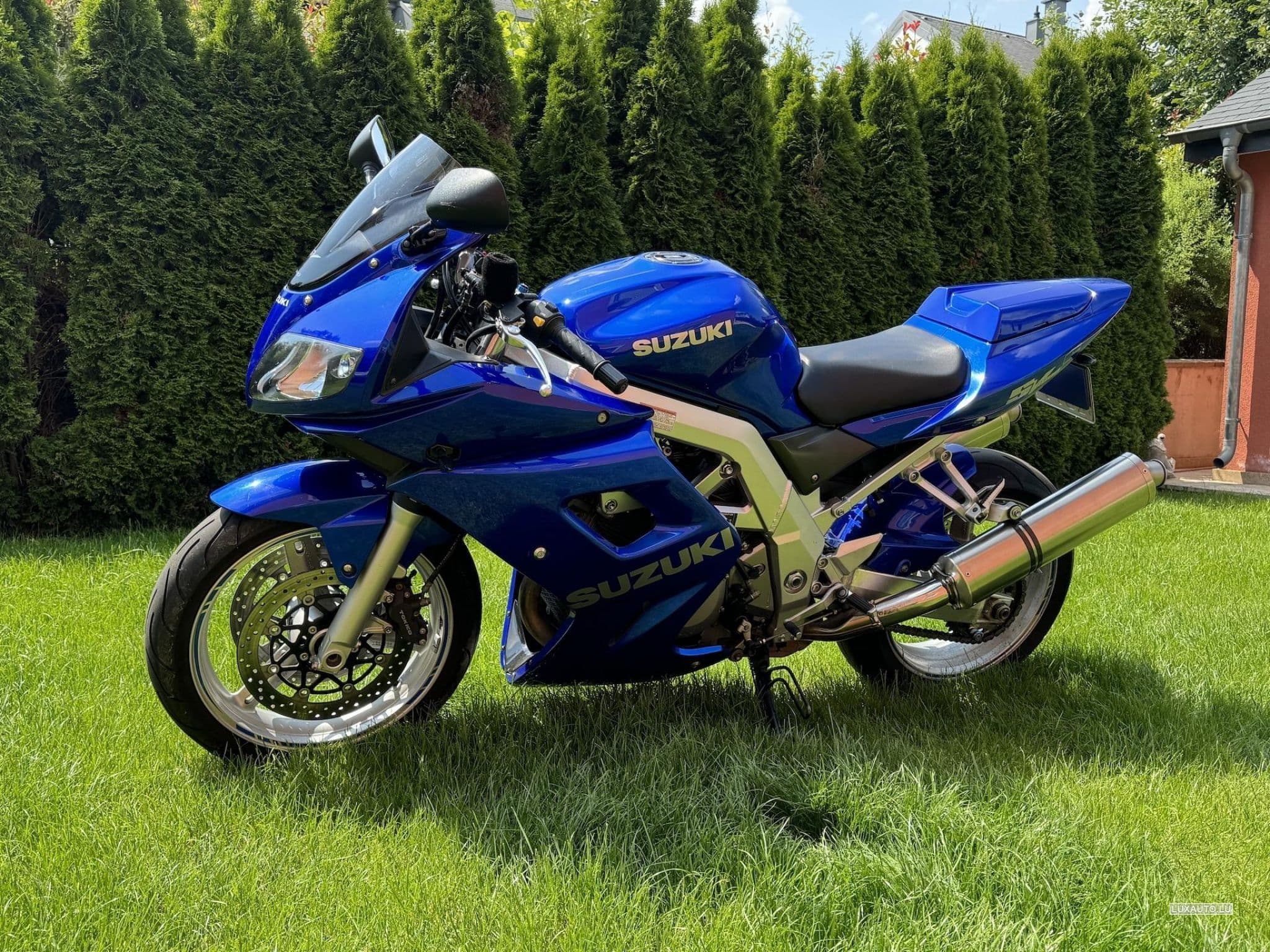 Suzuki SV Suzuki SV1000S (2003) - Photo 3