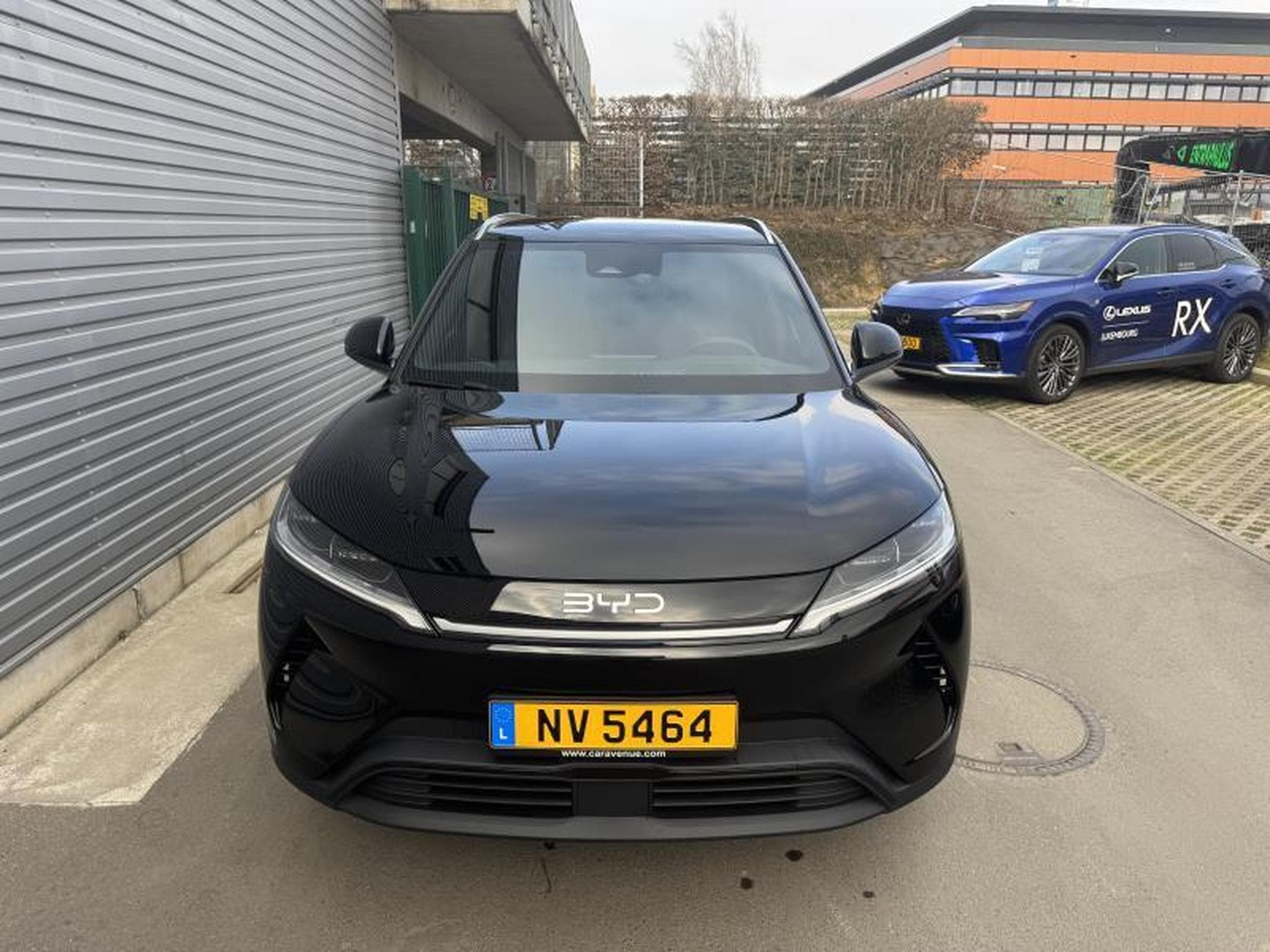 BYD ATTO 2 ACTIVE (2025) - Photo 2