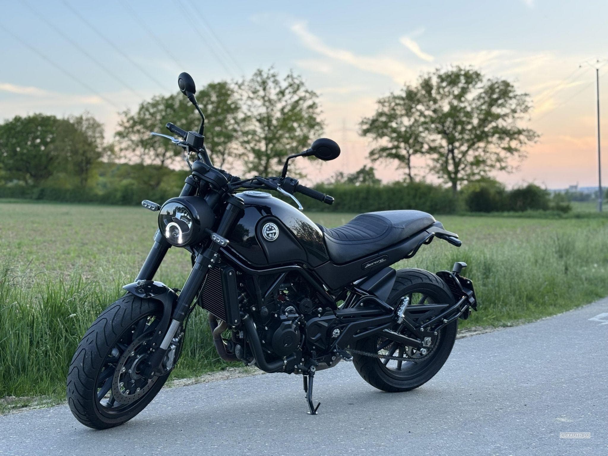 Benelli Leoncino (2021) - Photo 1