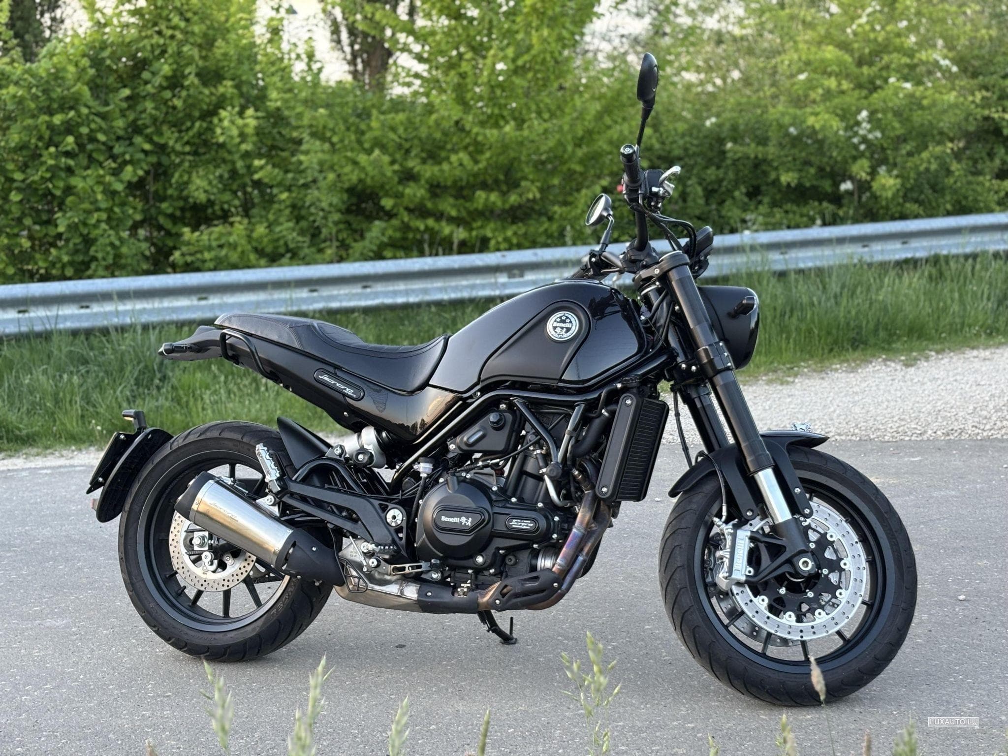 Benelli Leoncino (2021) - Photo 3
