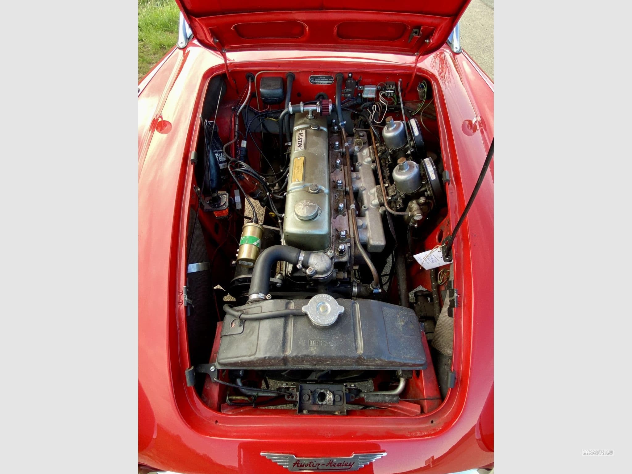 Austin-Healey 100 / 6 (1970) - Photo 8