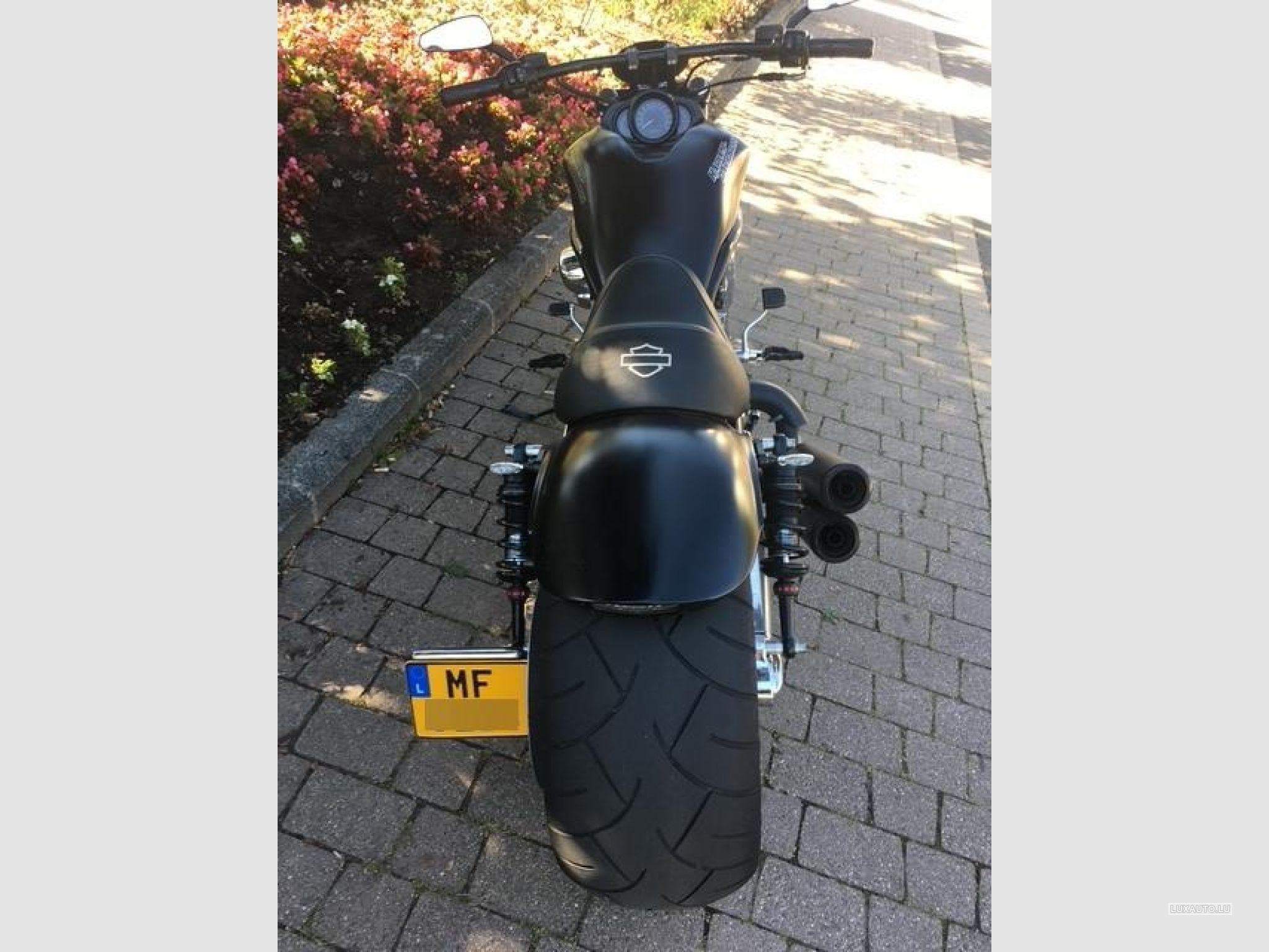 Harley-Davidson V-Rod CVO (2006) - Photo 1