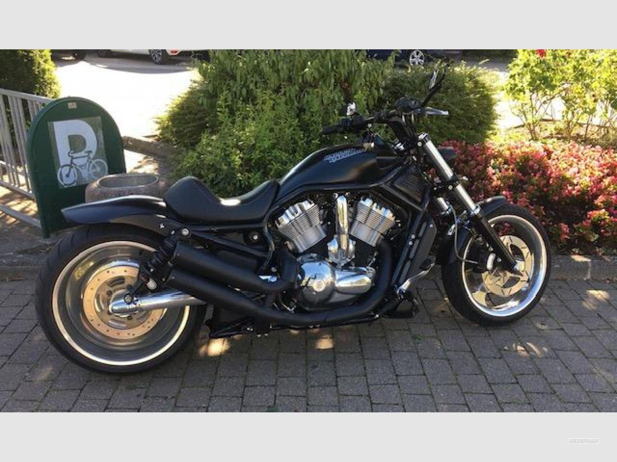 Harley-Davidson V-Rod CVO (2006) - Photo 3