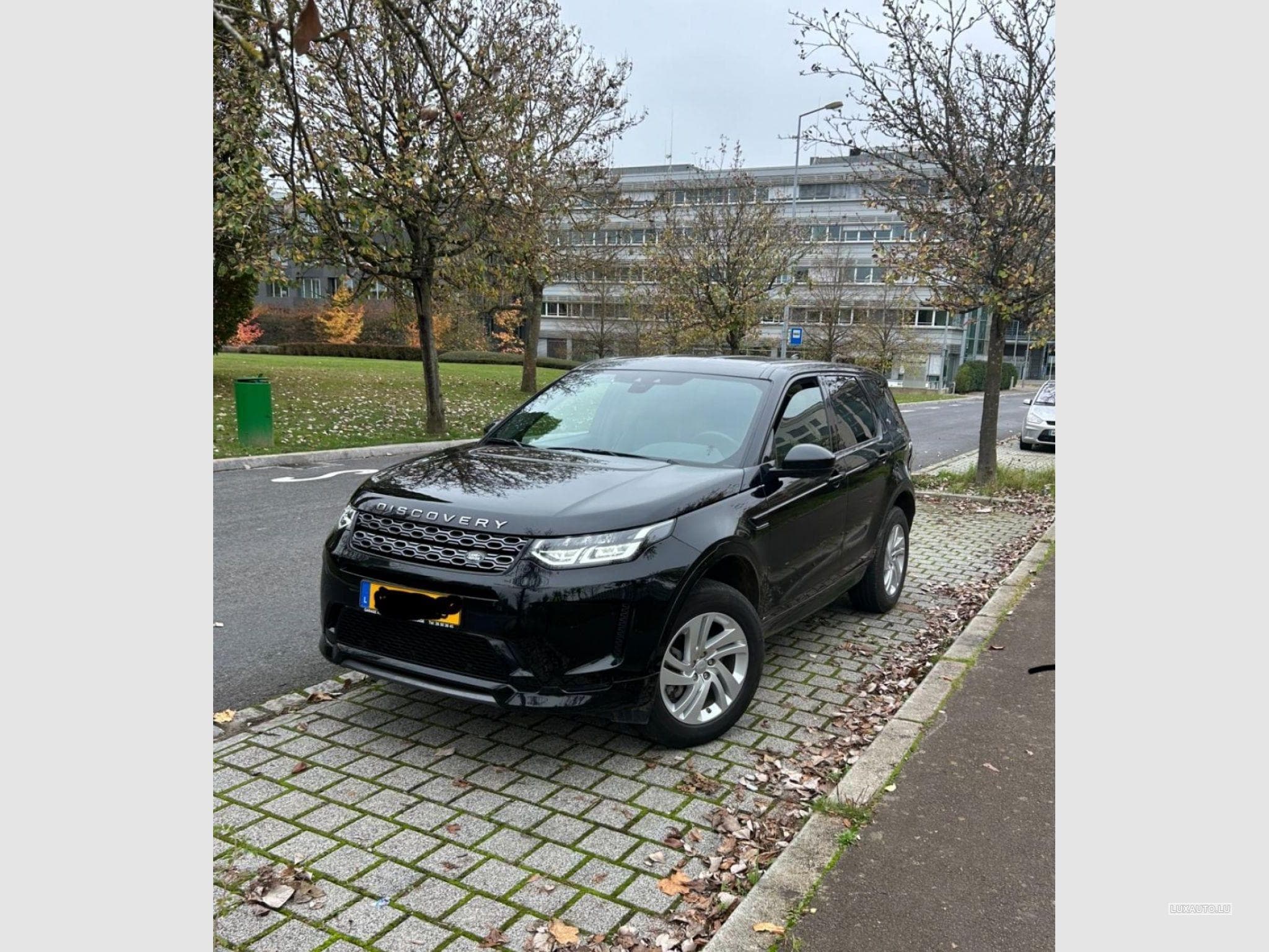 Land-Rover Discovery Sport R-dynamique (2020) - Photo 3