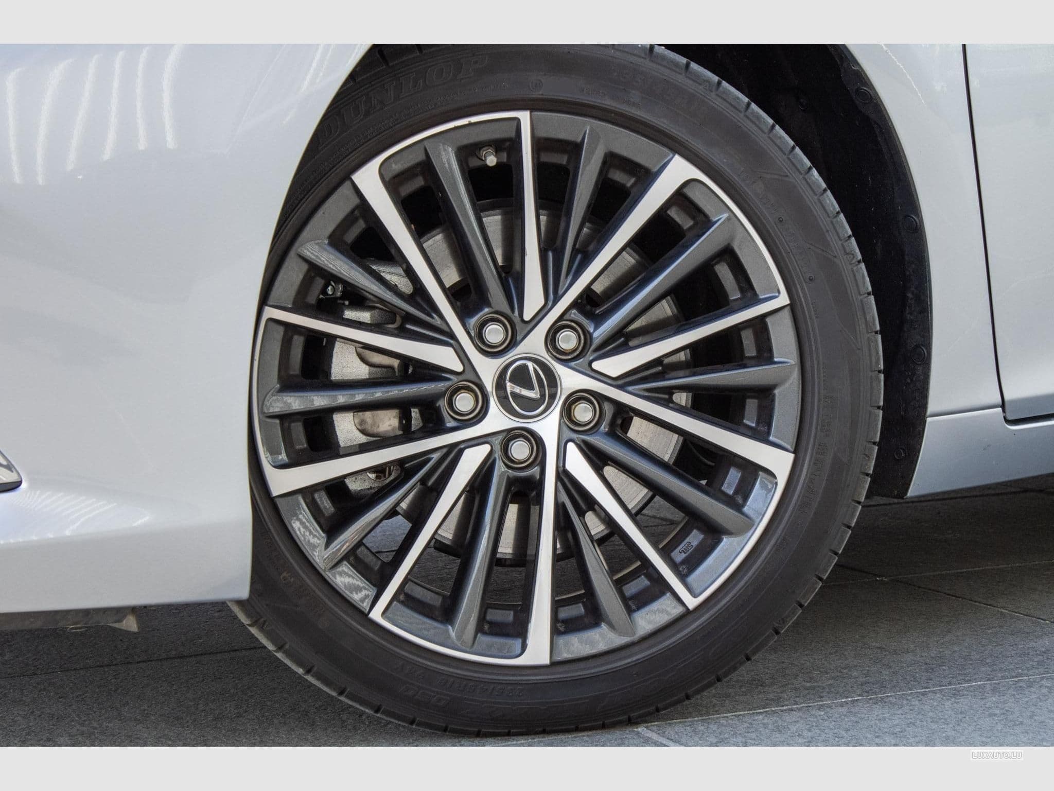 Lexus ES Explorer Line / Business (2024) - Photo 6