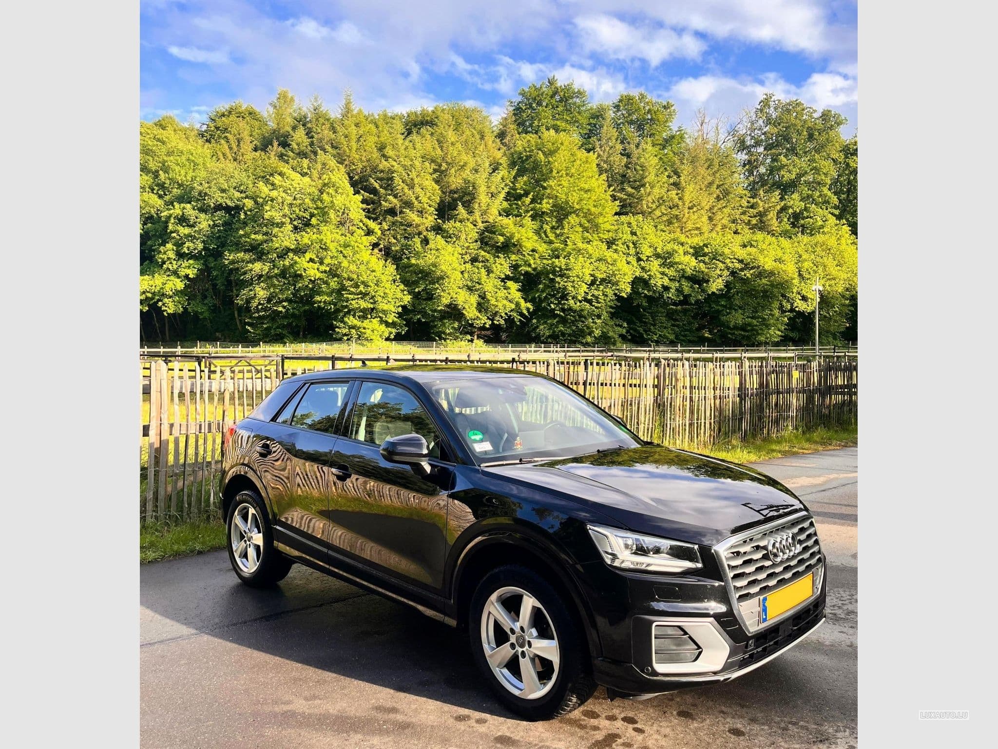 Audi Q2 Audi Q2 35 TFSI Advanced (2020) - Photo 3