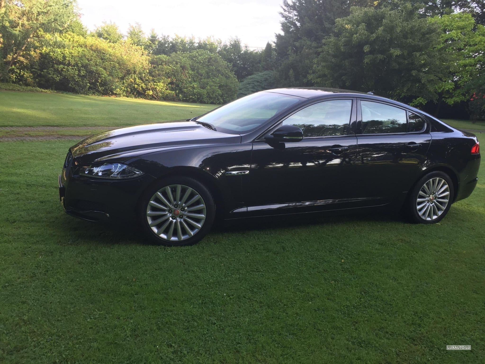 Jaguar XF (2015) - Photo 6
