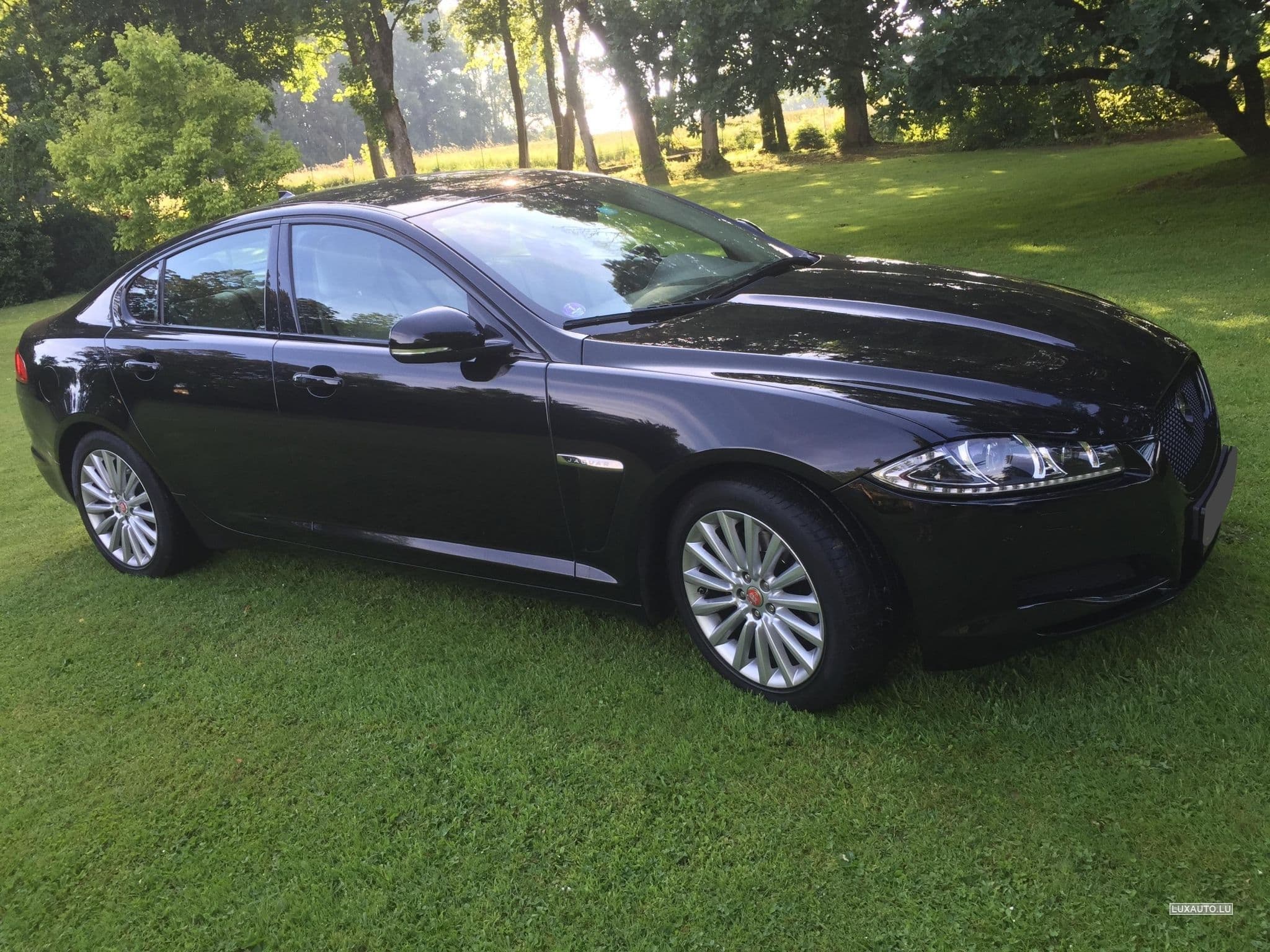 Jaguar XF (2015) - Photo 8