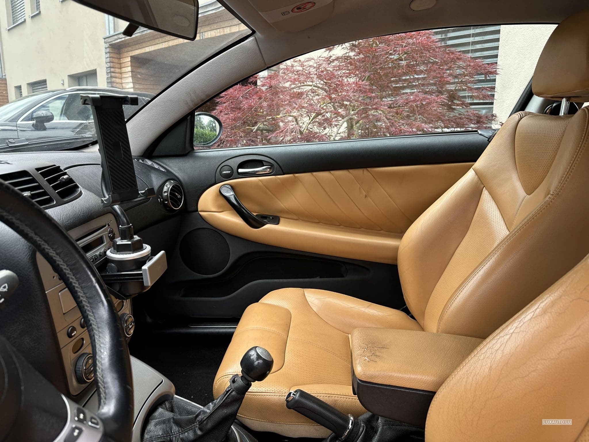 Alfa-Romeo AMG GT (2005) - Photo 3