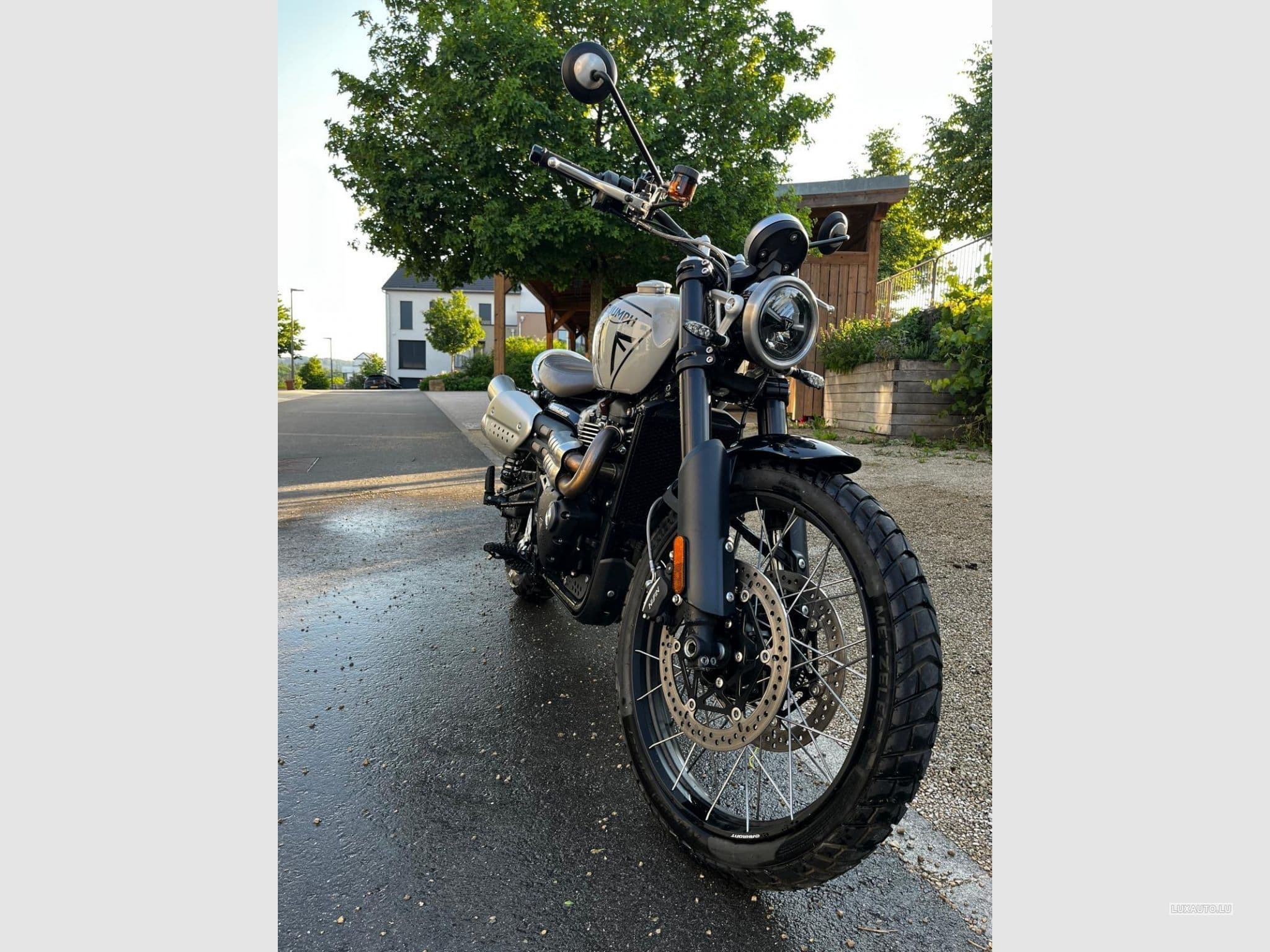 Triumph Scrambler Seitentasche, Quad Lock (2024) - Photo 3